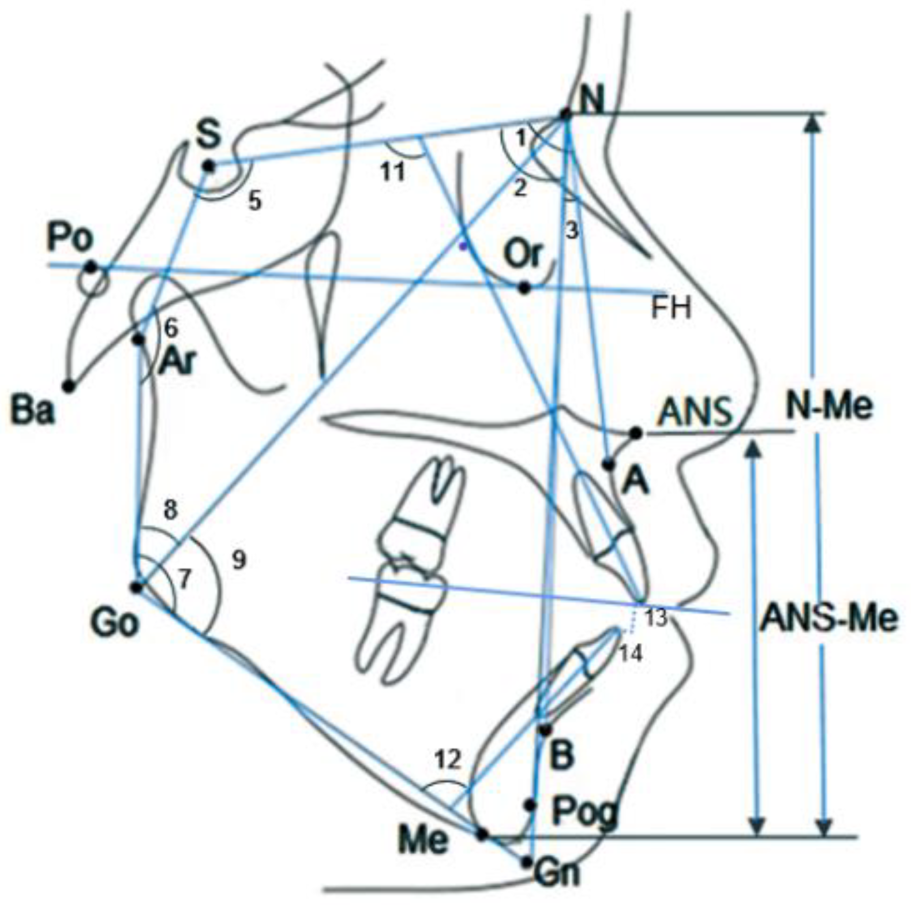 Diagnostics 13 00039 g001
