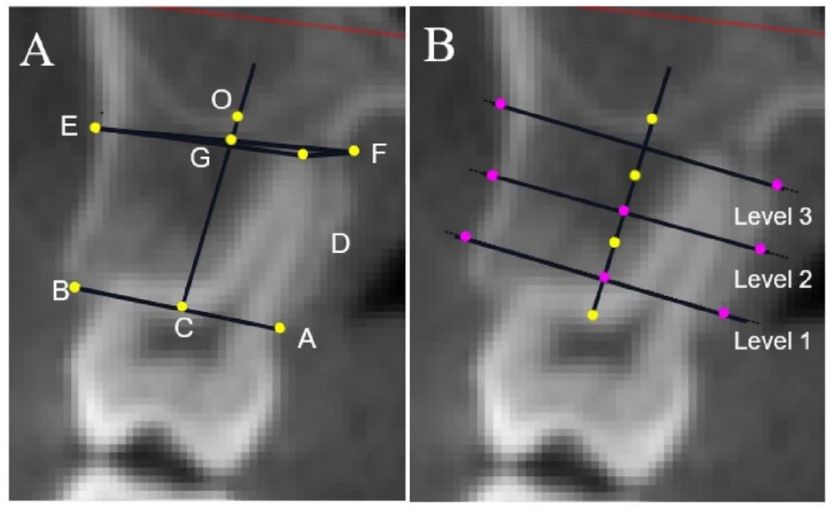 Diagnostics 13 00039 g005