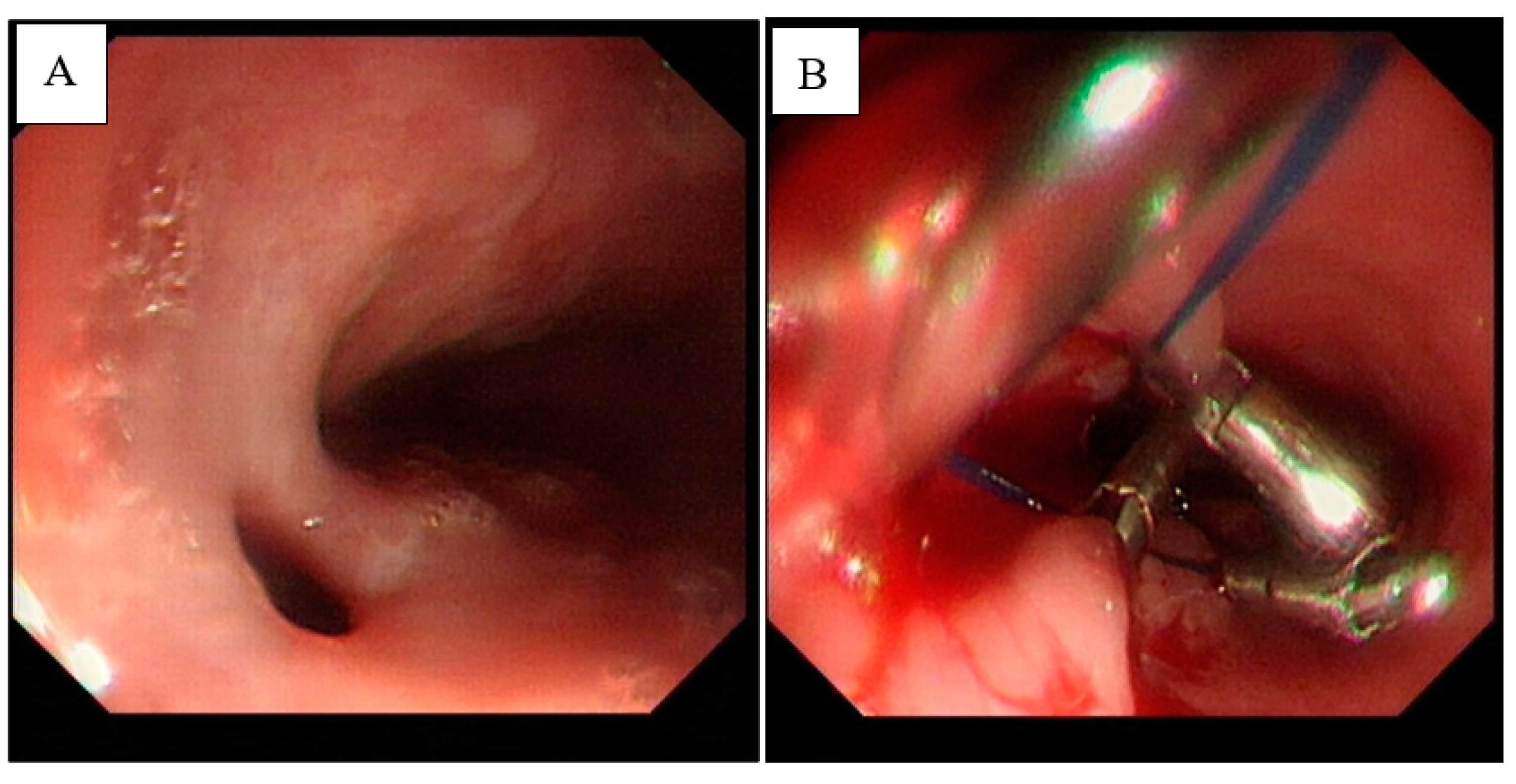 Diagnostics 13 00040 g004