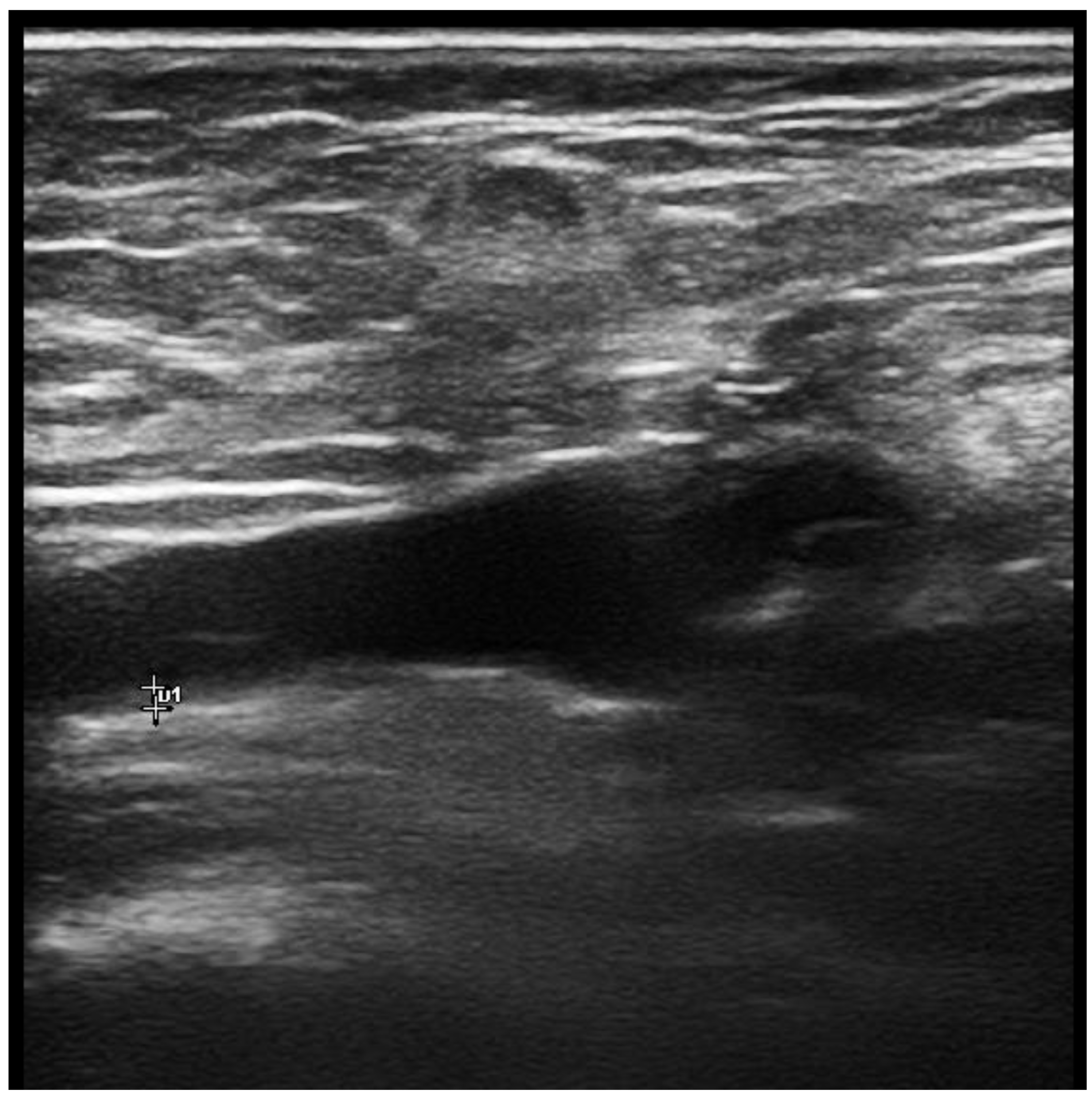 Diagnostics 13 00041 g001