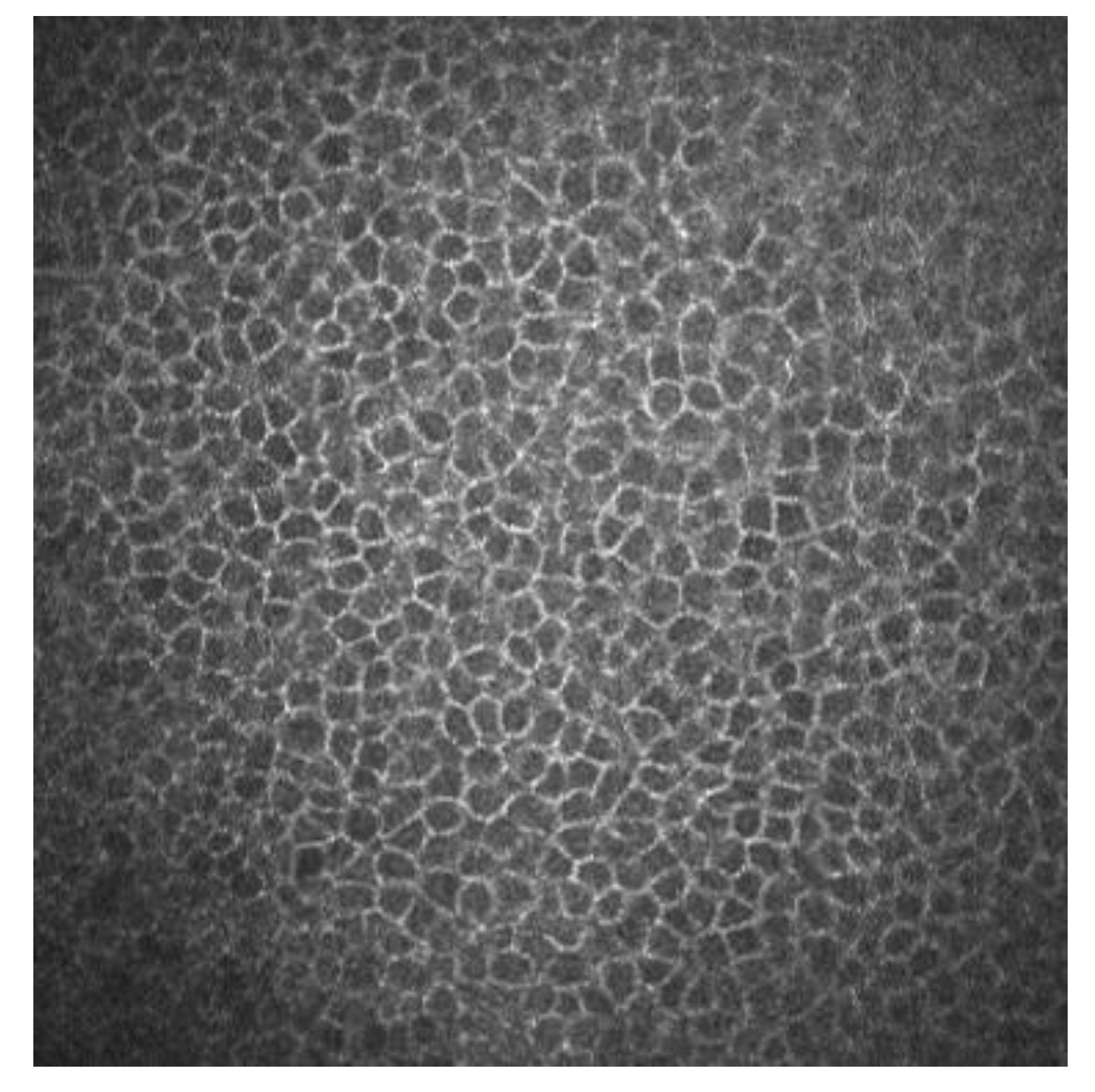 Diagnostics 13 00046 g001