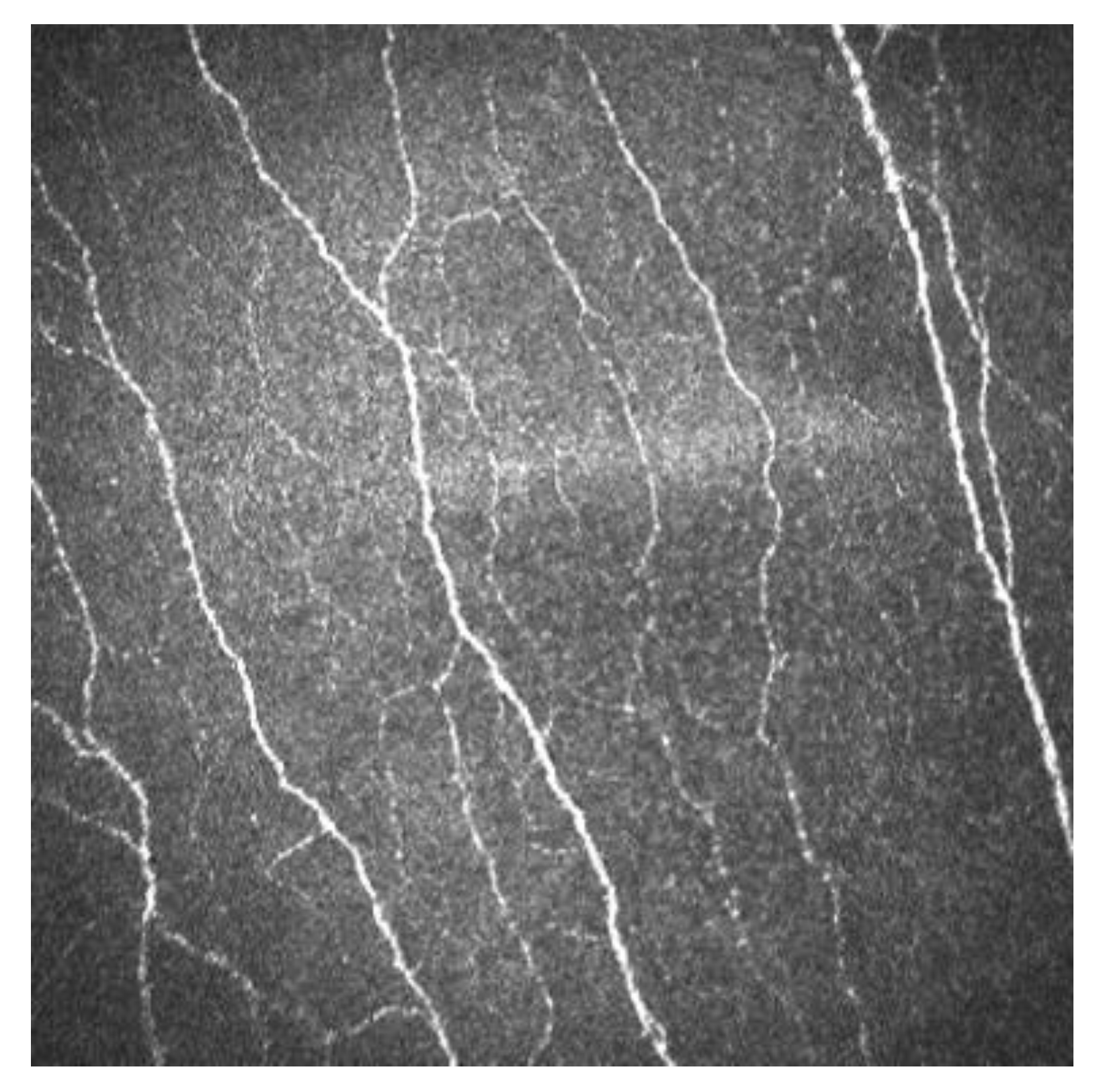 Diagnostics 13 00046 g002