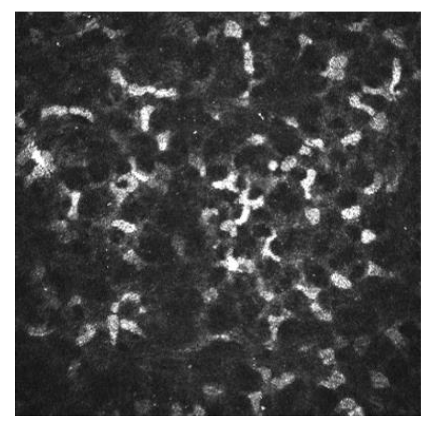 Diagnostics 13 00046 g003