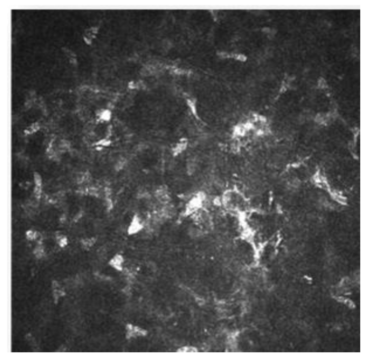 Diagnostics 13 00046 g004