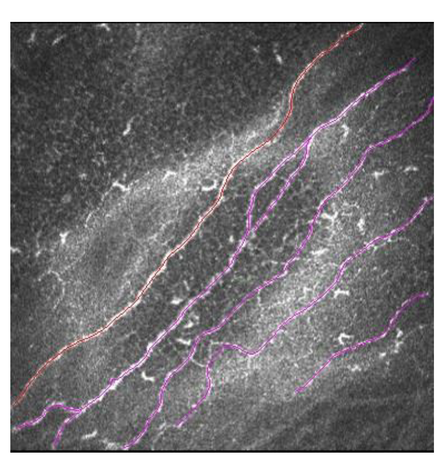 Diagnostics 13 00046 g005