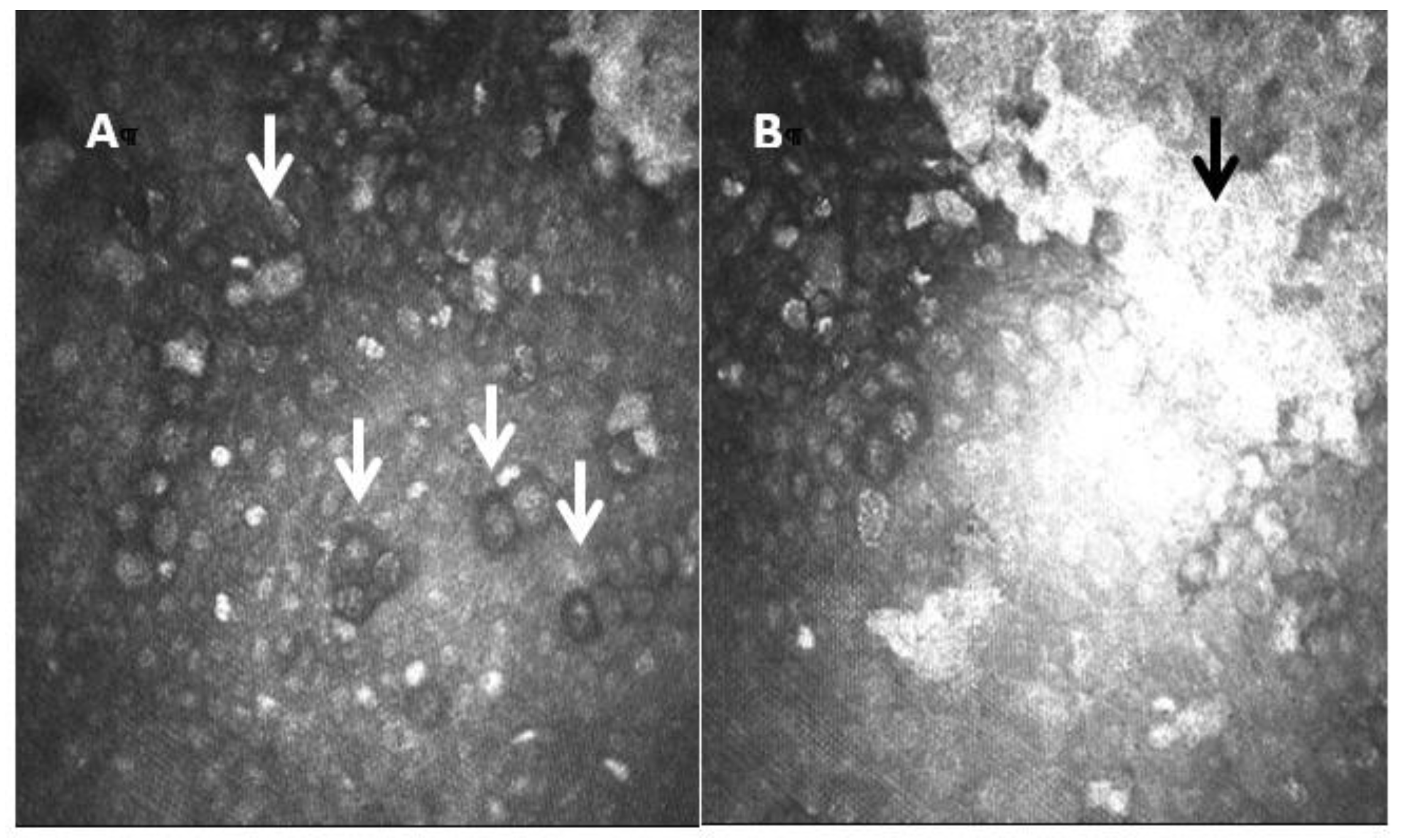 Diagnostics 13 00046 g006