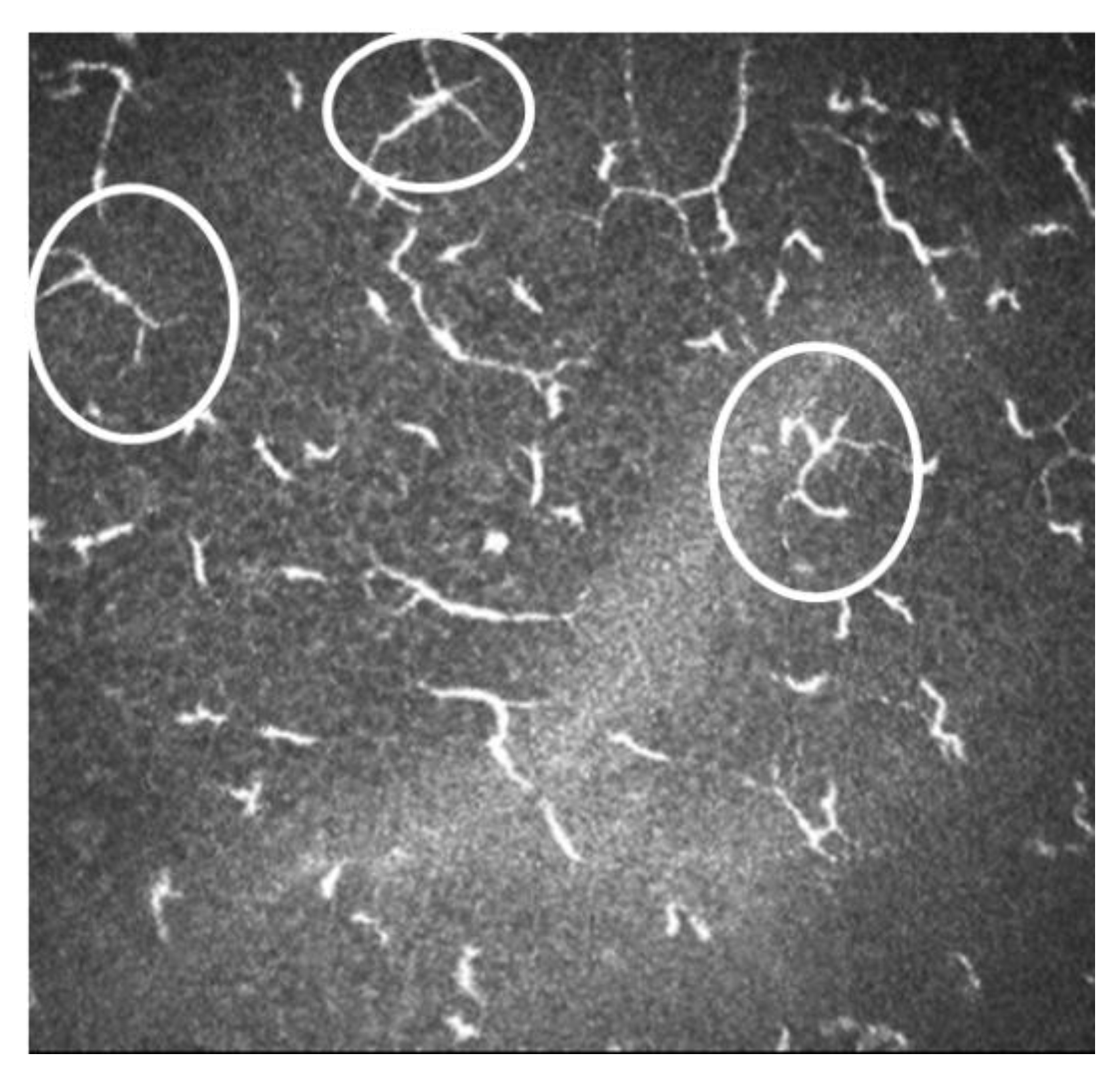 Diagnostics 13 00046 g007