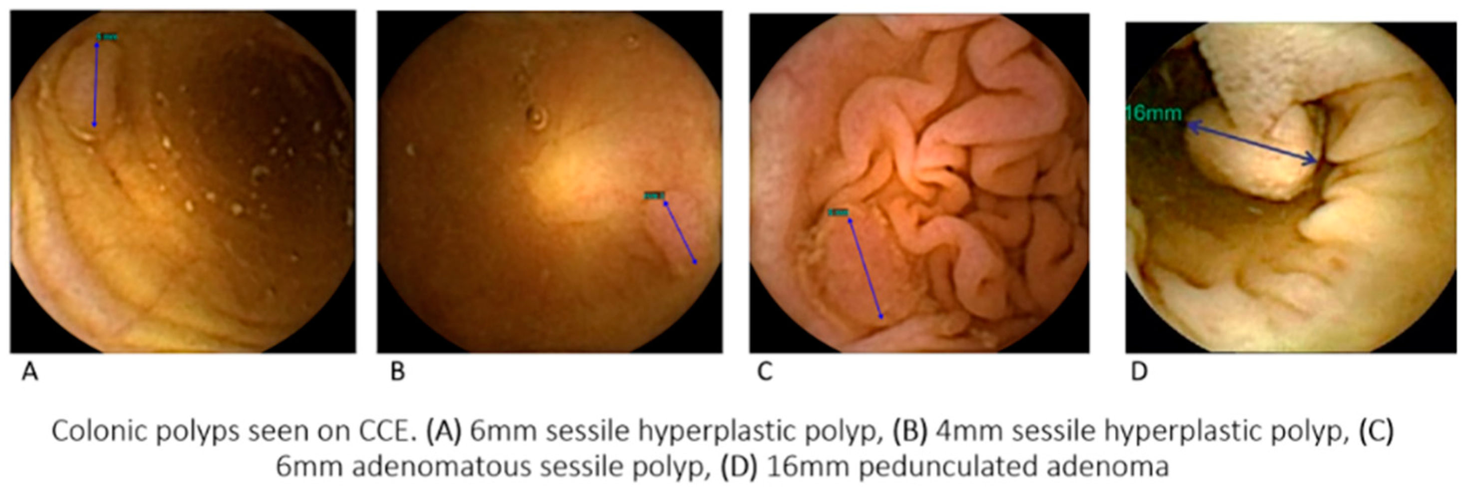 Diagnostics 13 00056 g001