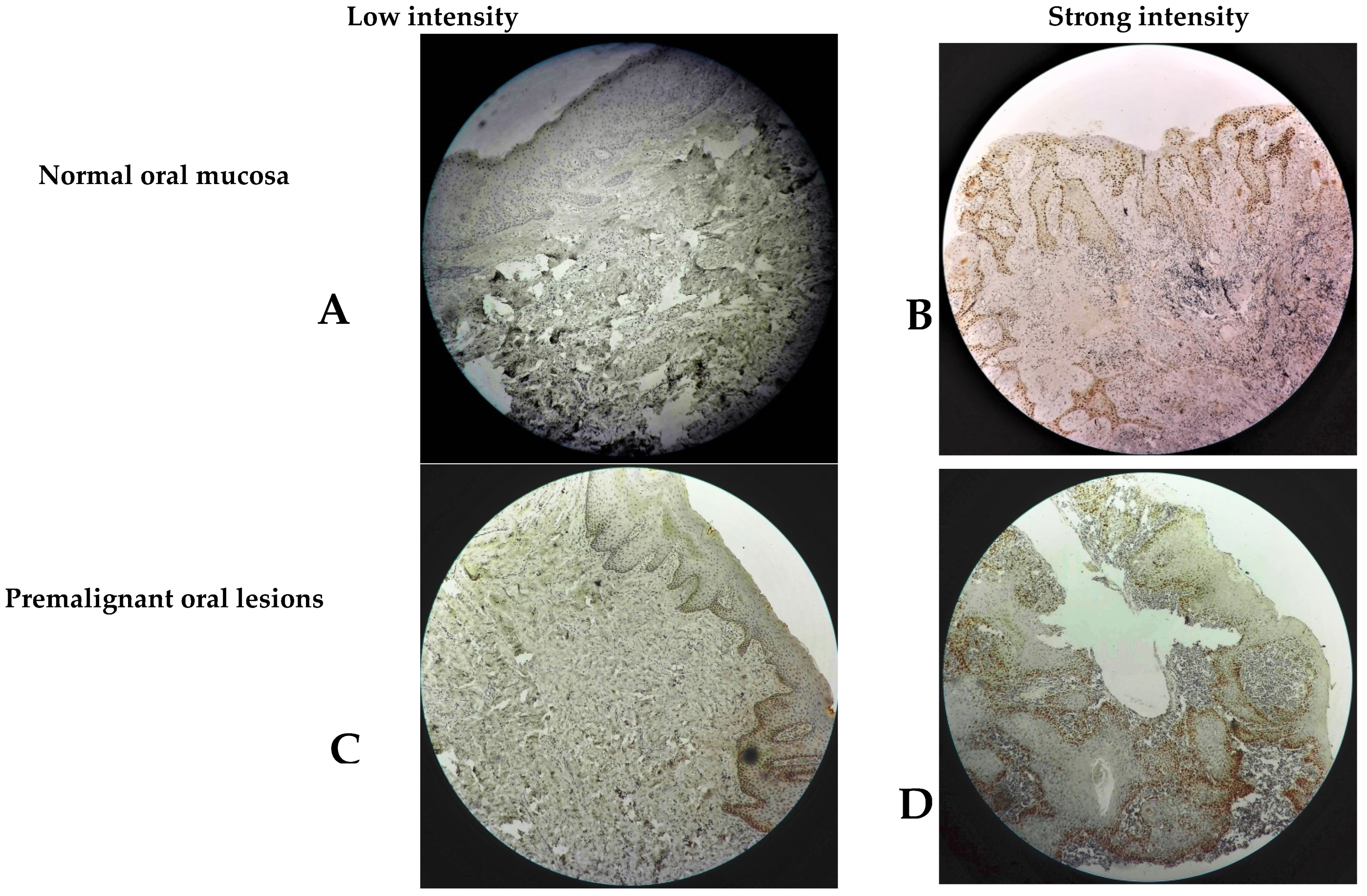 Diagnostics 13 00061 g001a