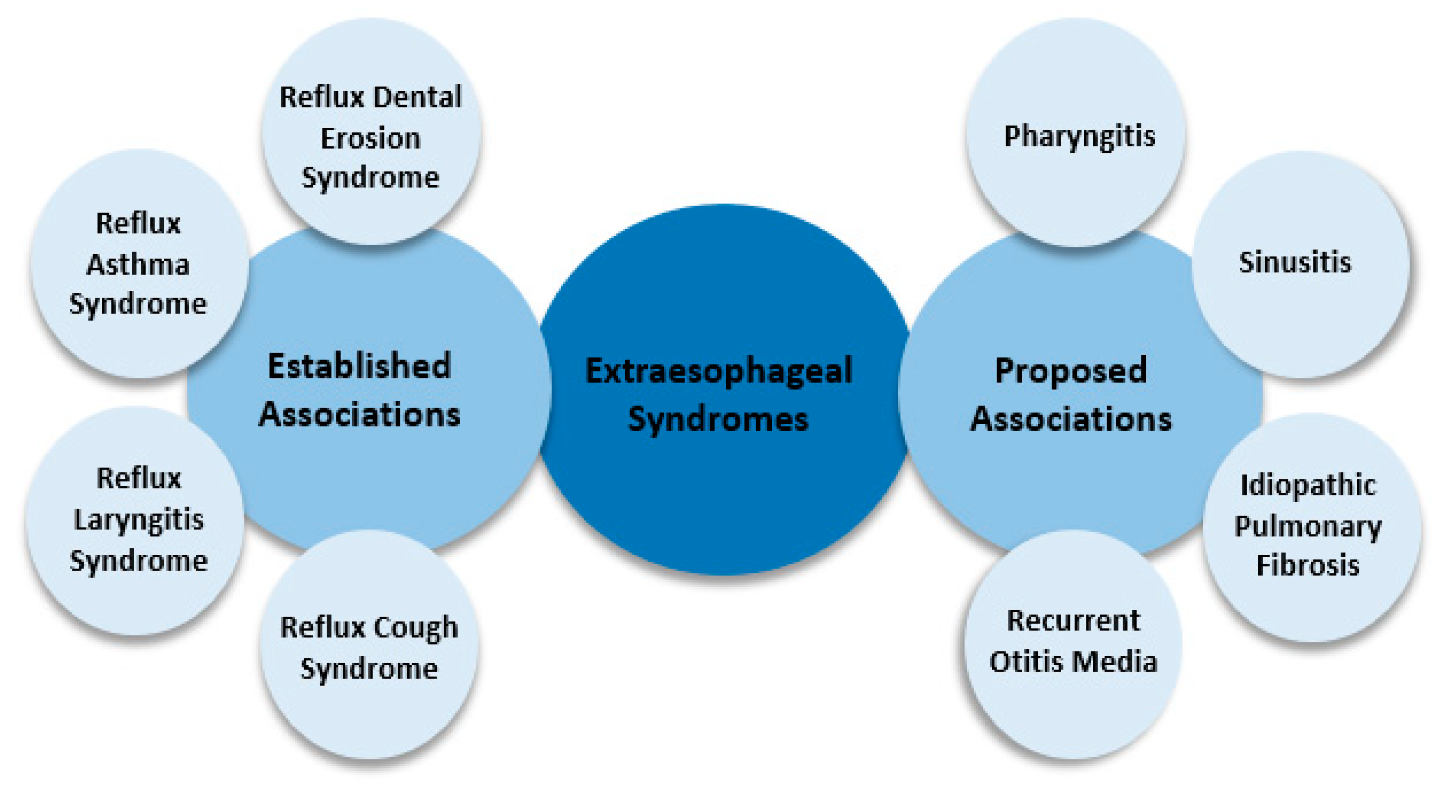 Diagnostics 13 00063 g002