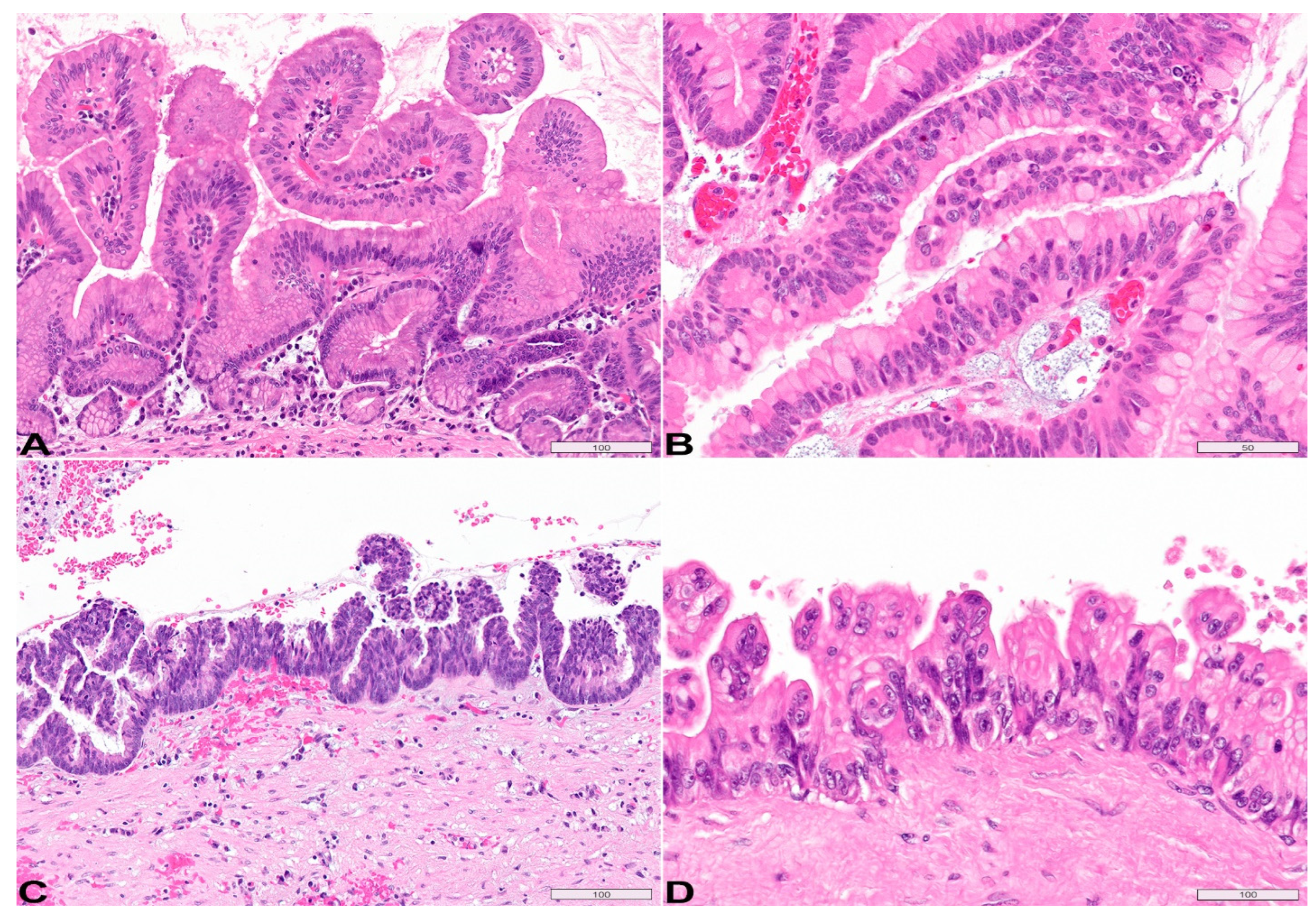 Diagnostics 13 00065 g004
