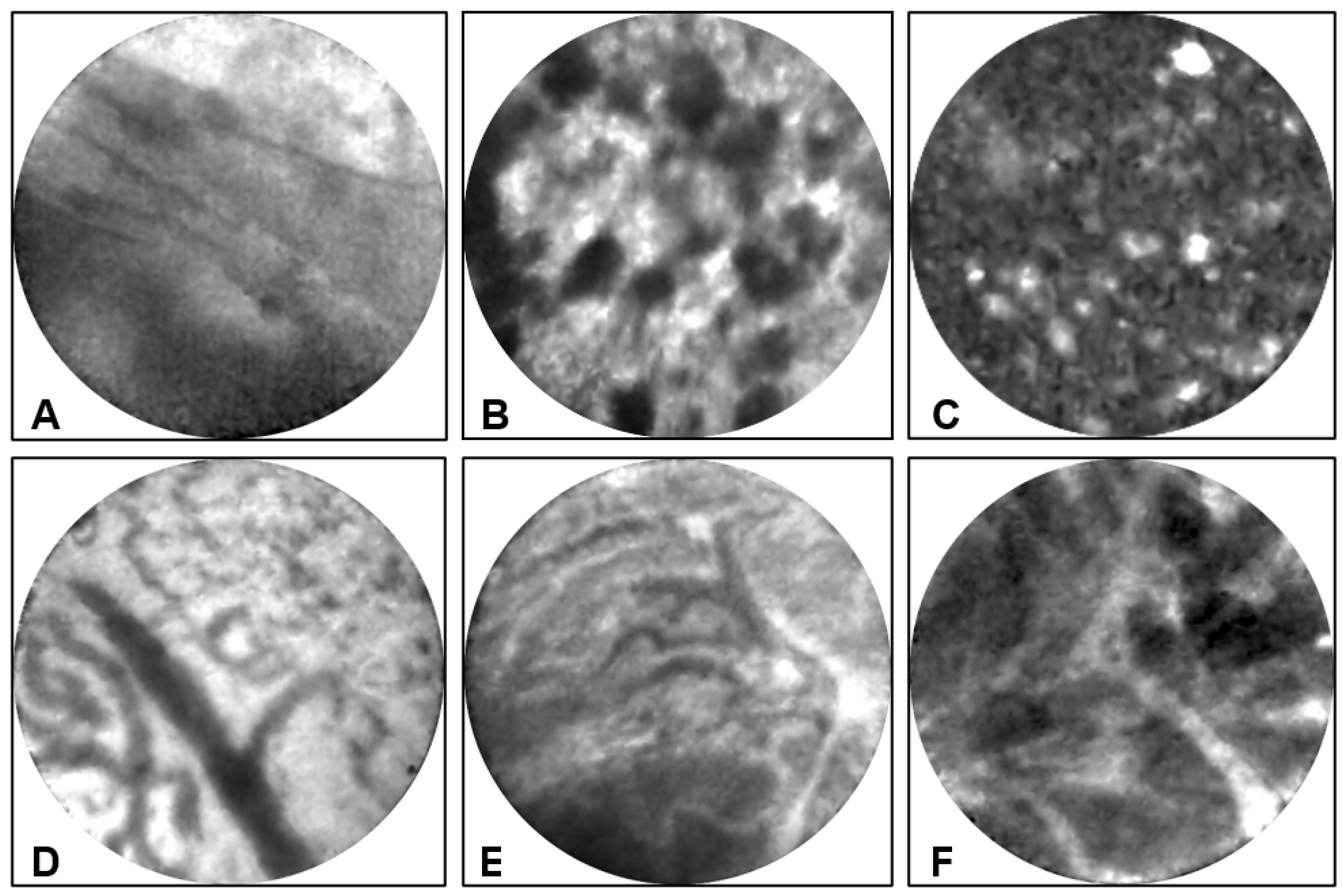 Diagnostics 13 00065 g006