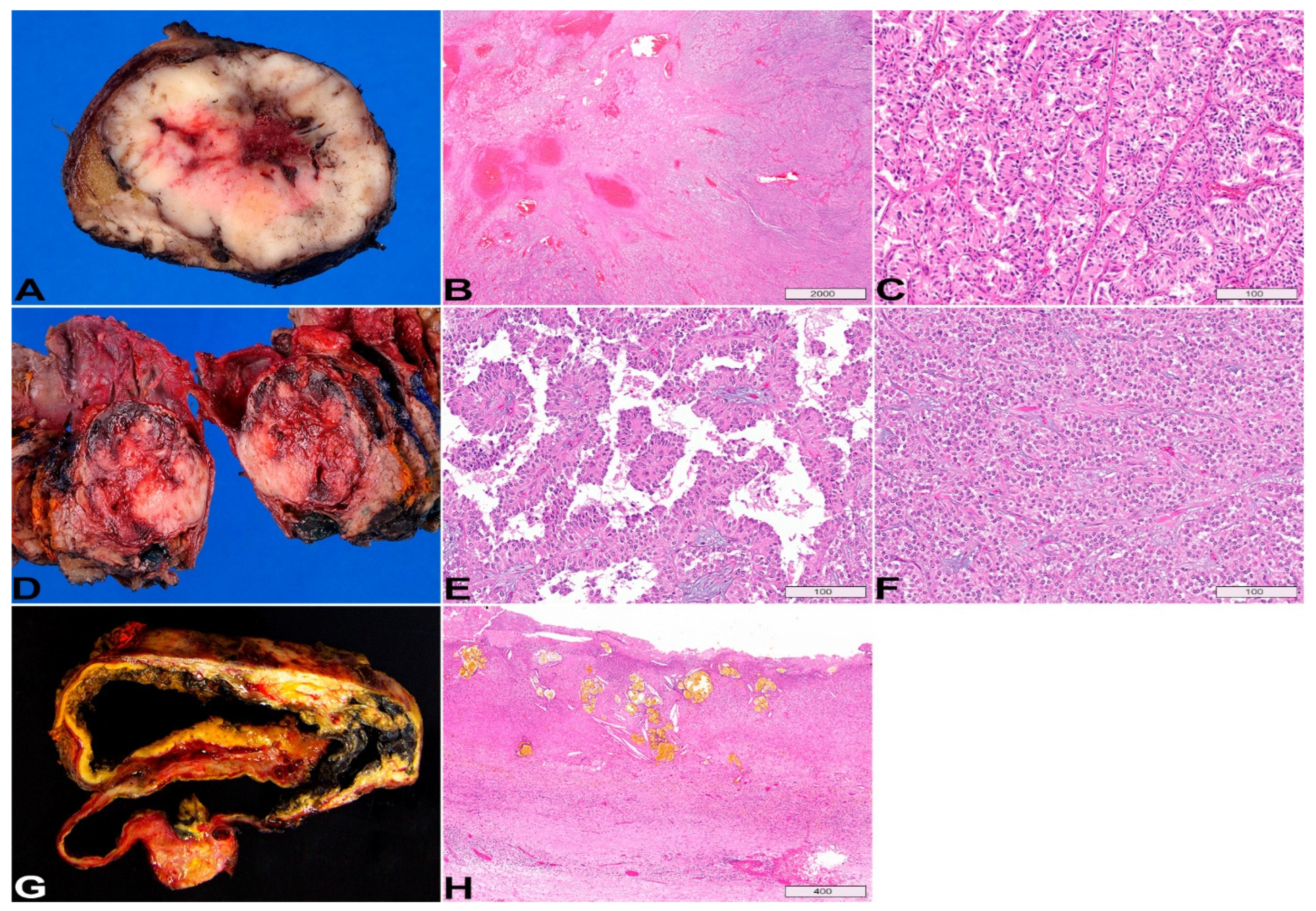 Diagnostics 13 00065 g007