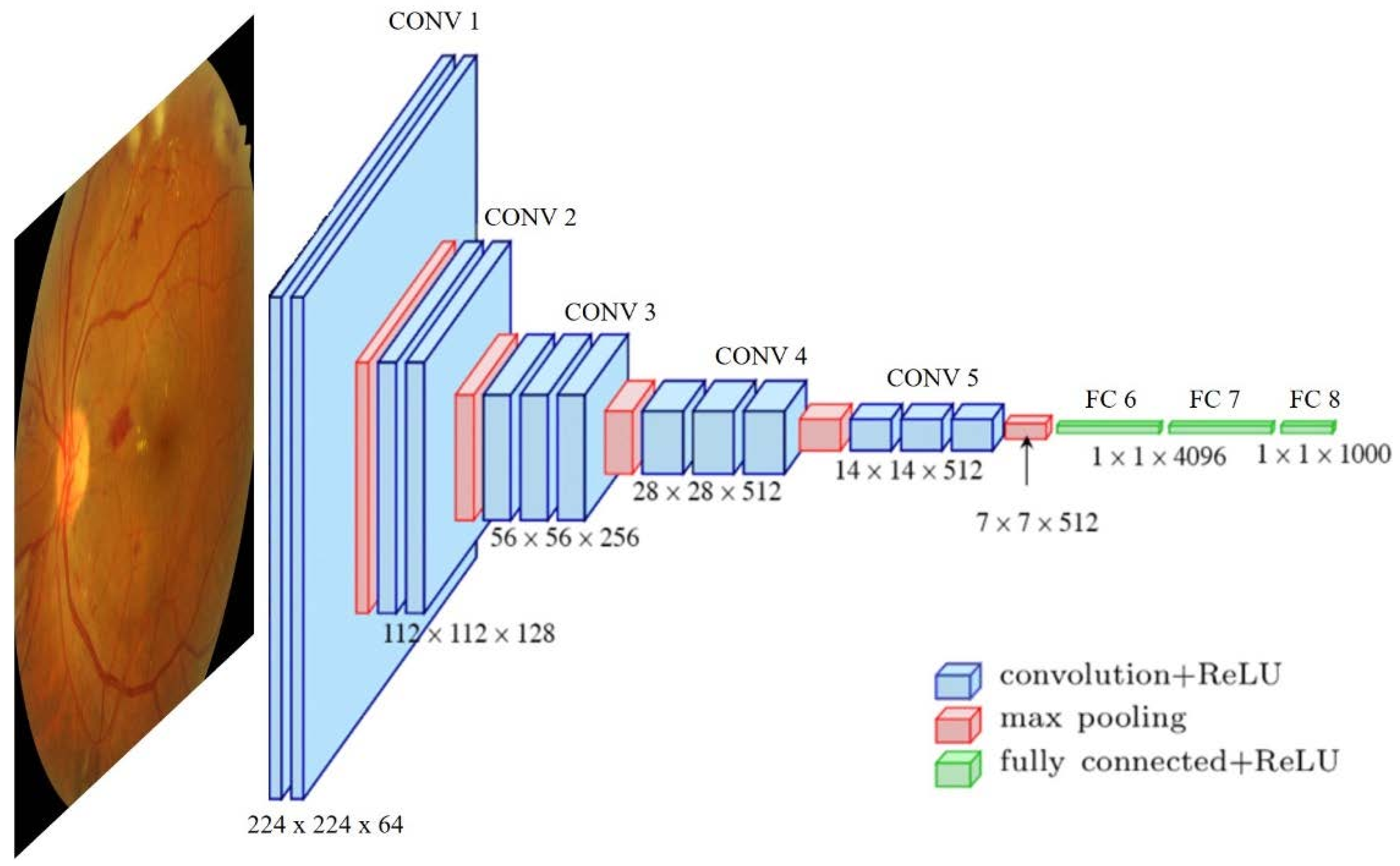 Diagnostics 13 00068 g001
