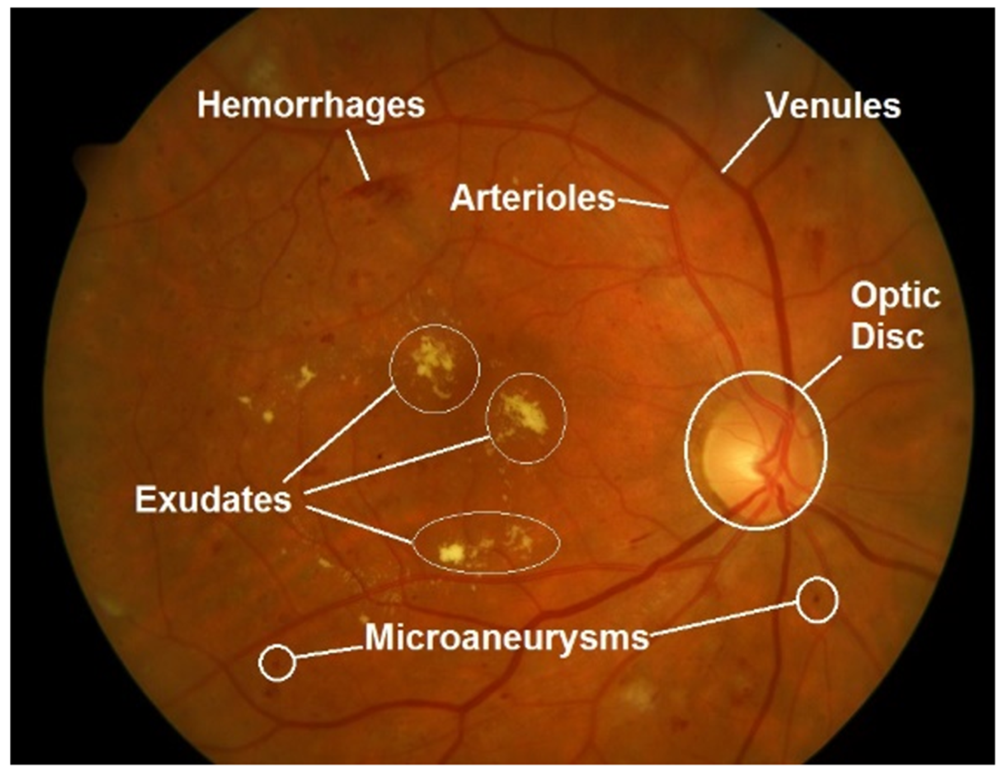 Diagnostics 13 00068 g002