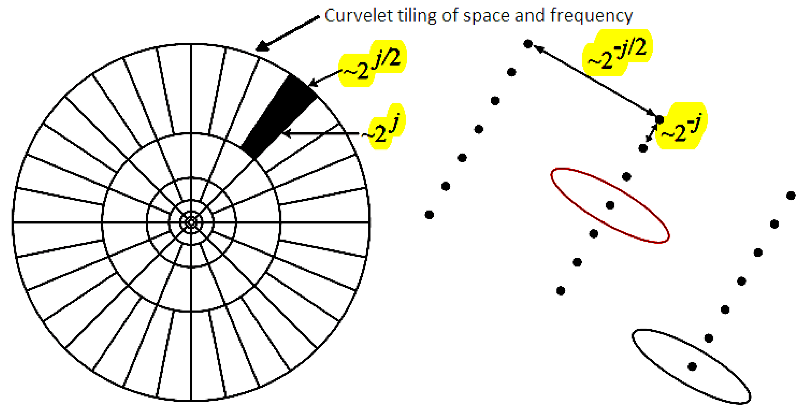 Diagnostics 13 00069 g002