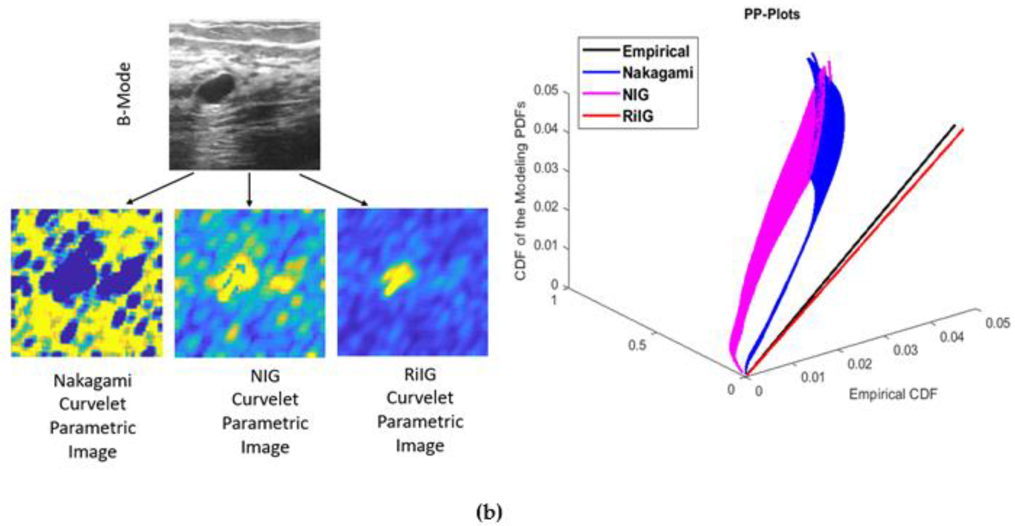 Diagnostics 13 00069 g005b