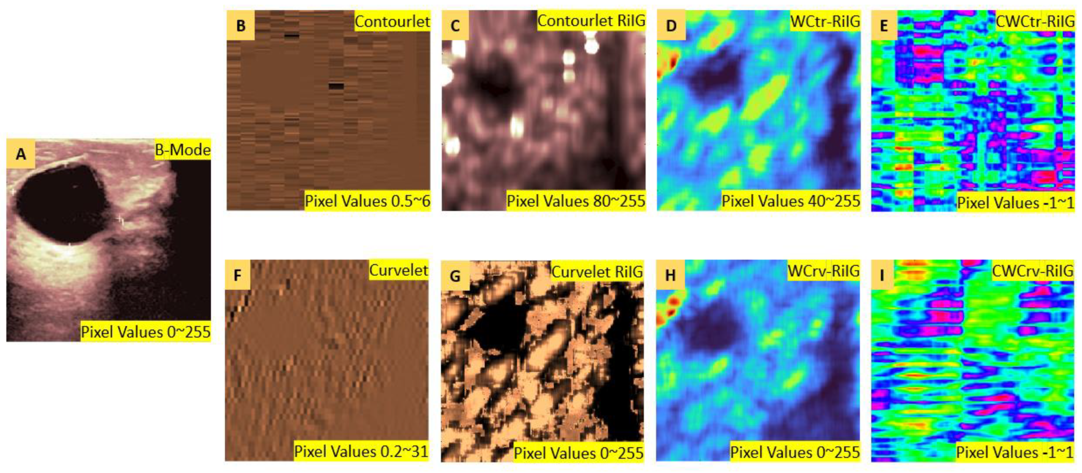 Diagnostics 13 00069 g006