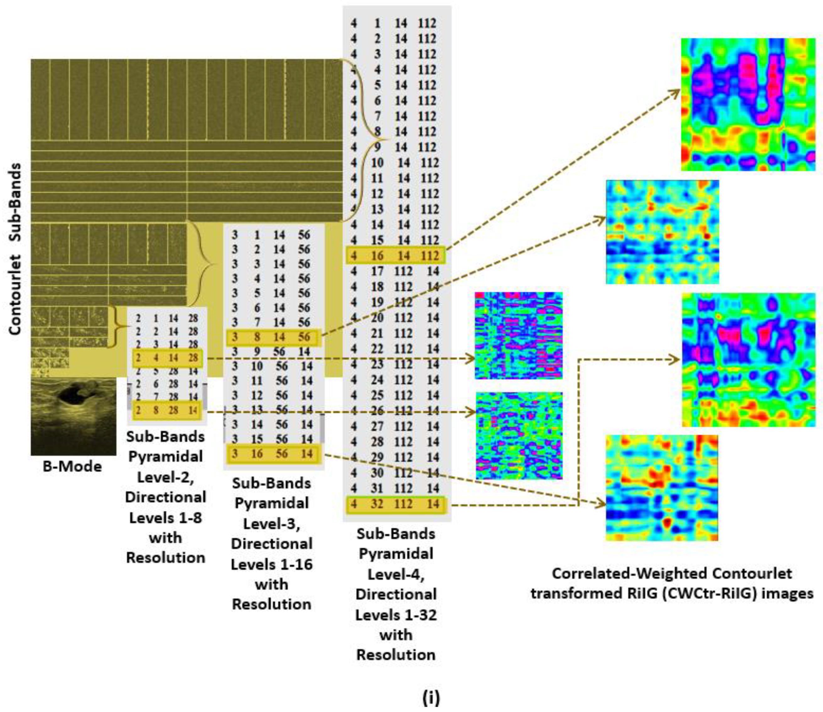 Diagnostics 13 00069 g007a