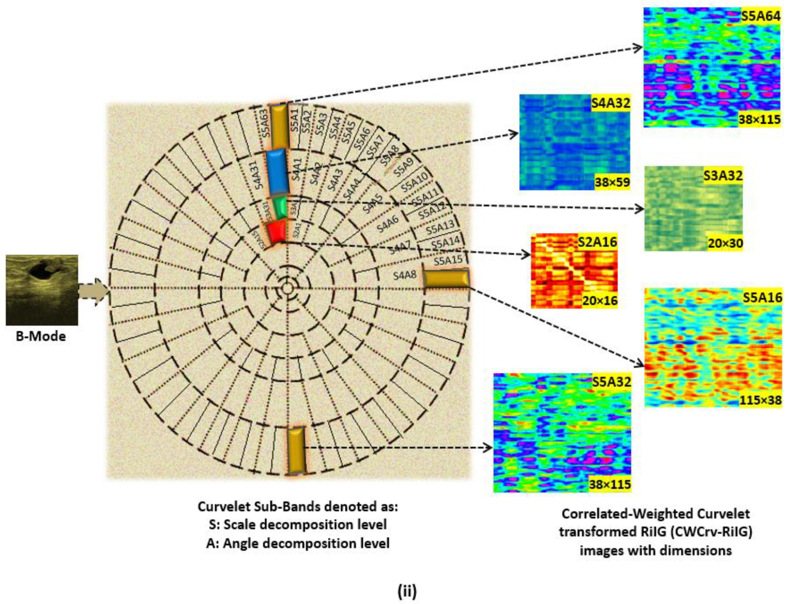 Diagnostics 13 00069 g007b