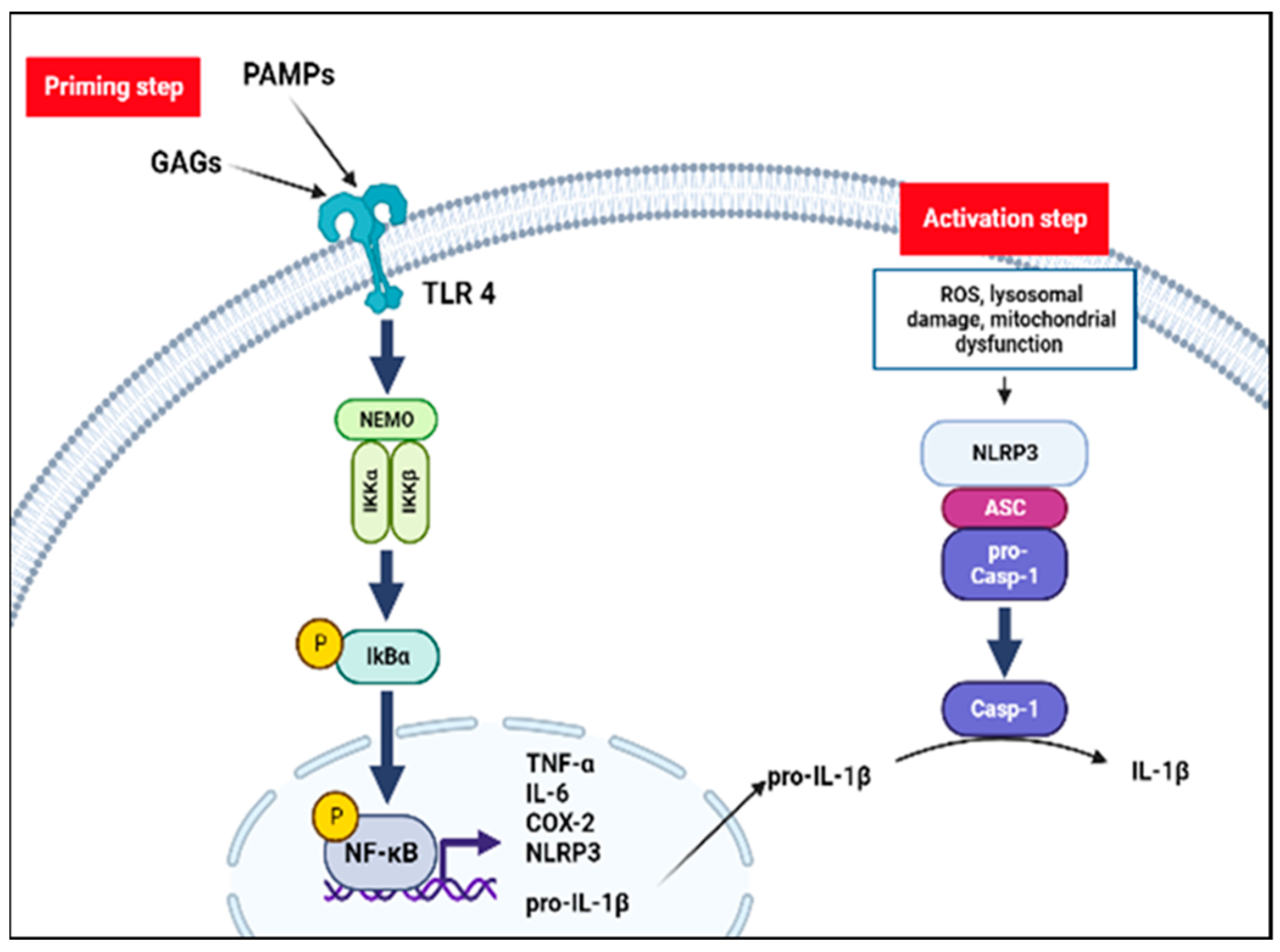 Diagnostics 13 00075 g002