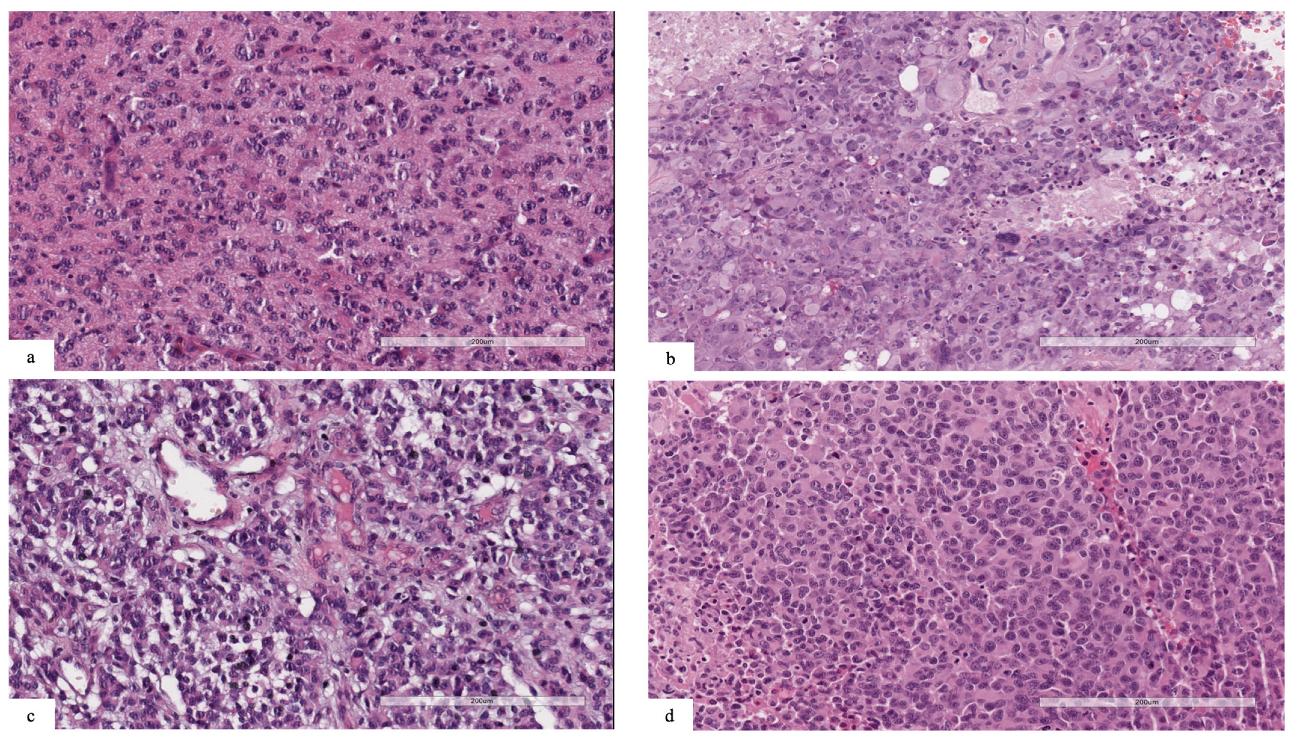 Diagnostics 13 00078 g001