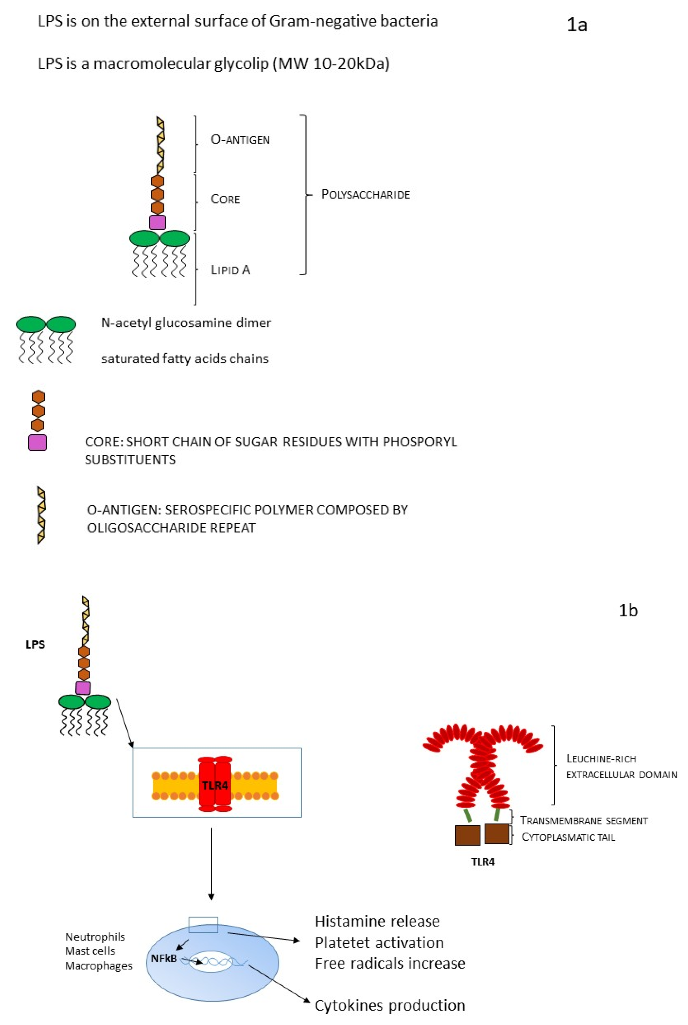 Diagnostics 13 00079 g001 Diagnostics 13 00079 g001