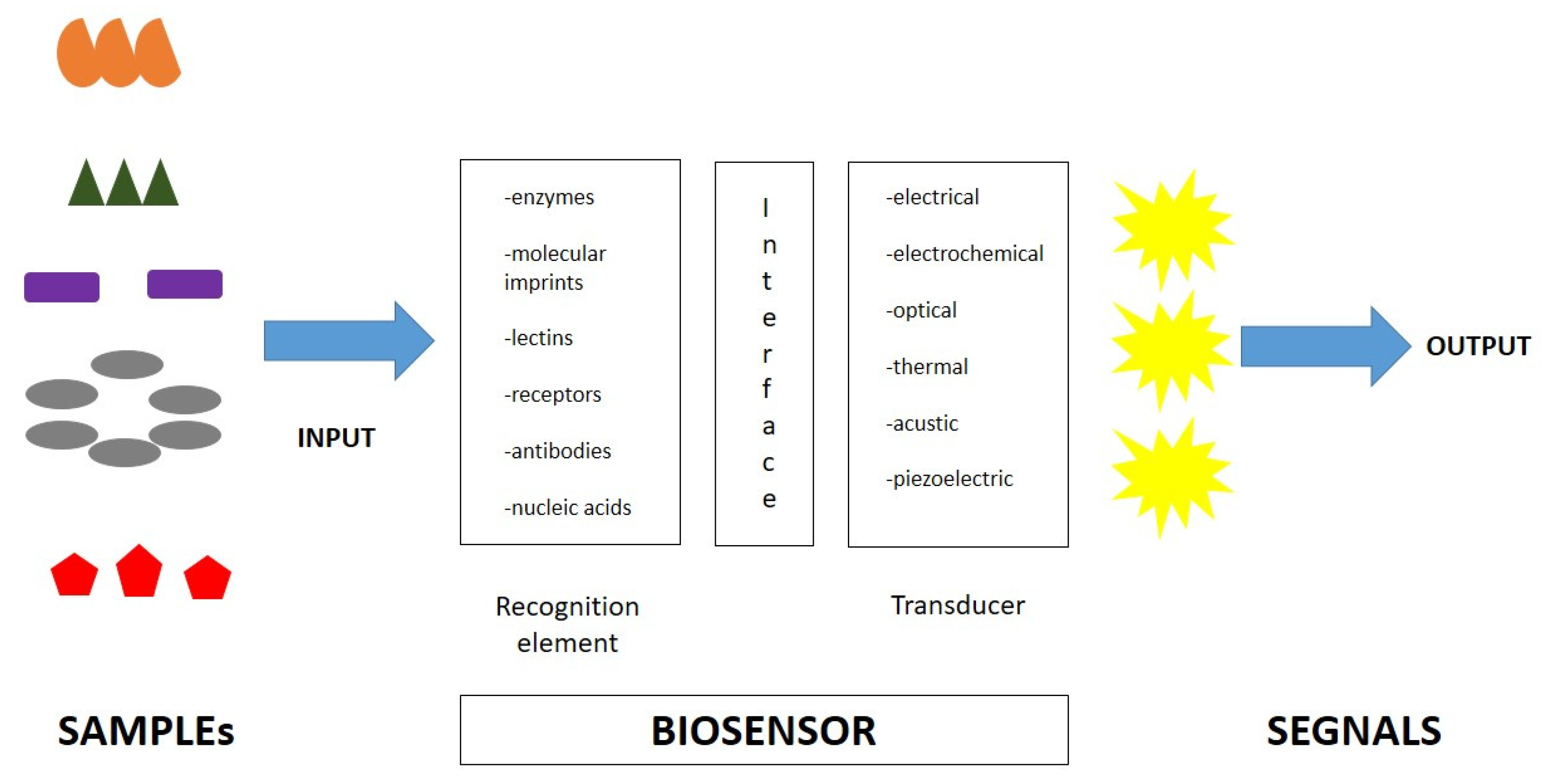 Diagnostics 13 00079 g002 Diagnostics 13 00079 g002