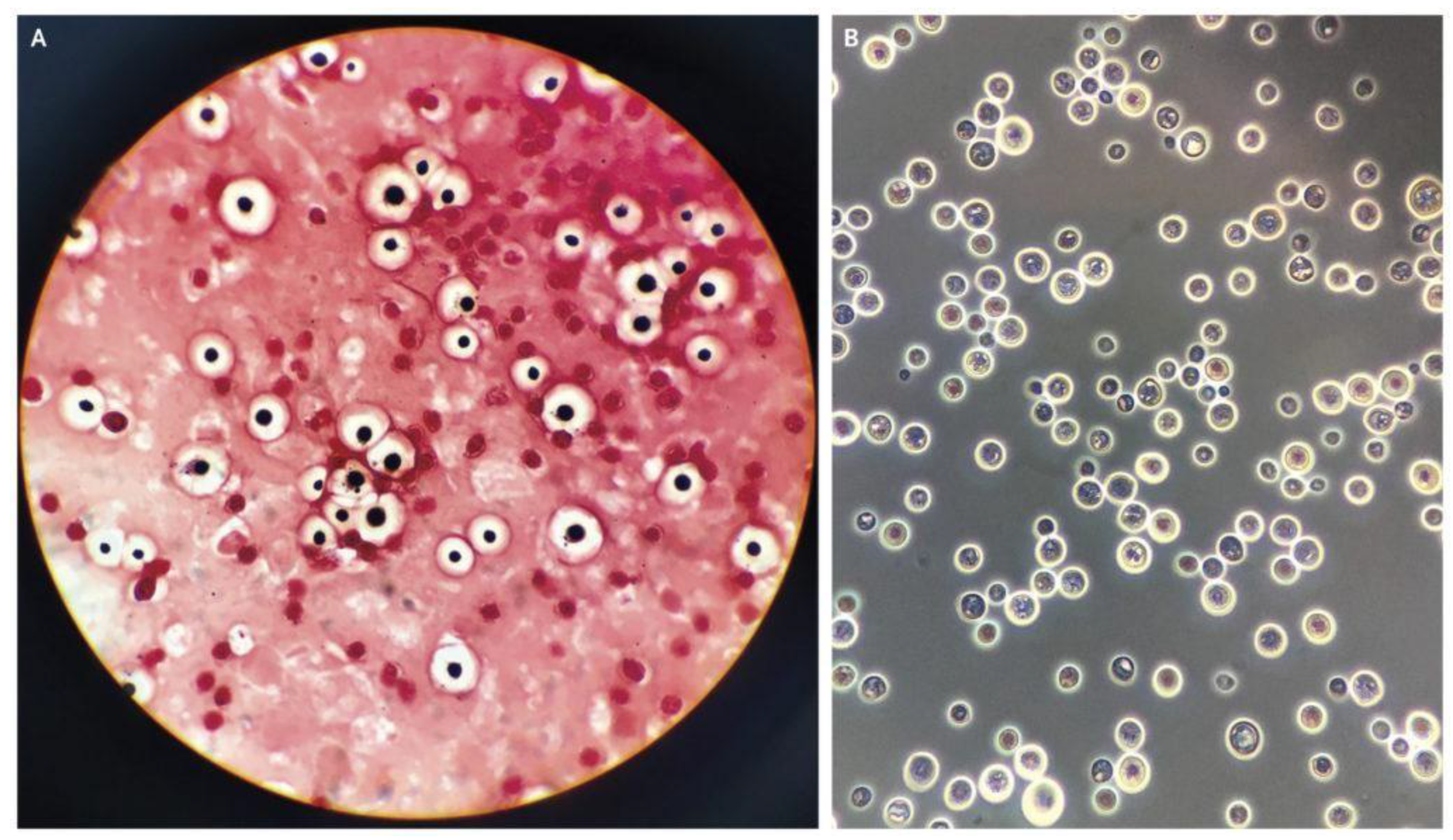 Diagnostics 13 00081 g001