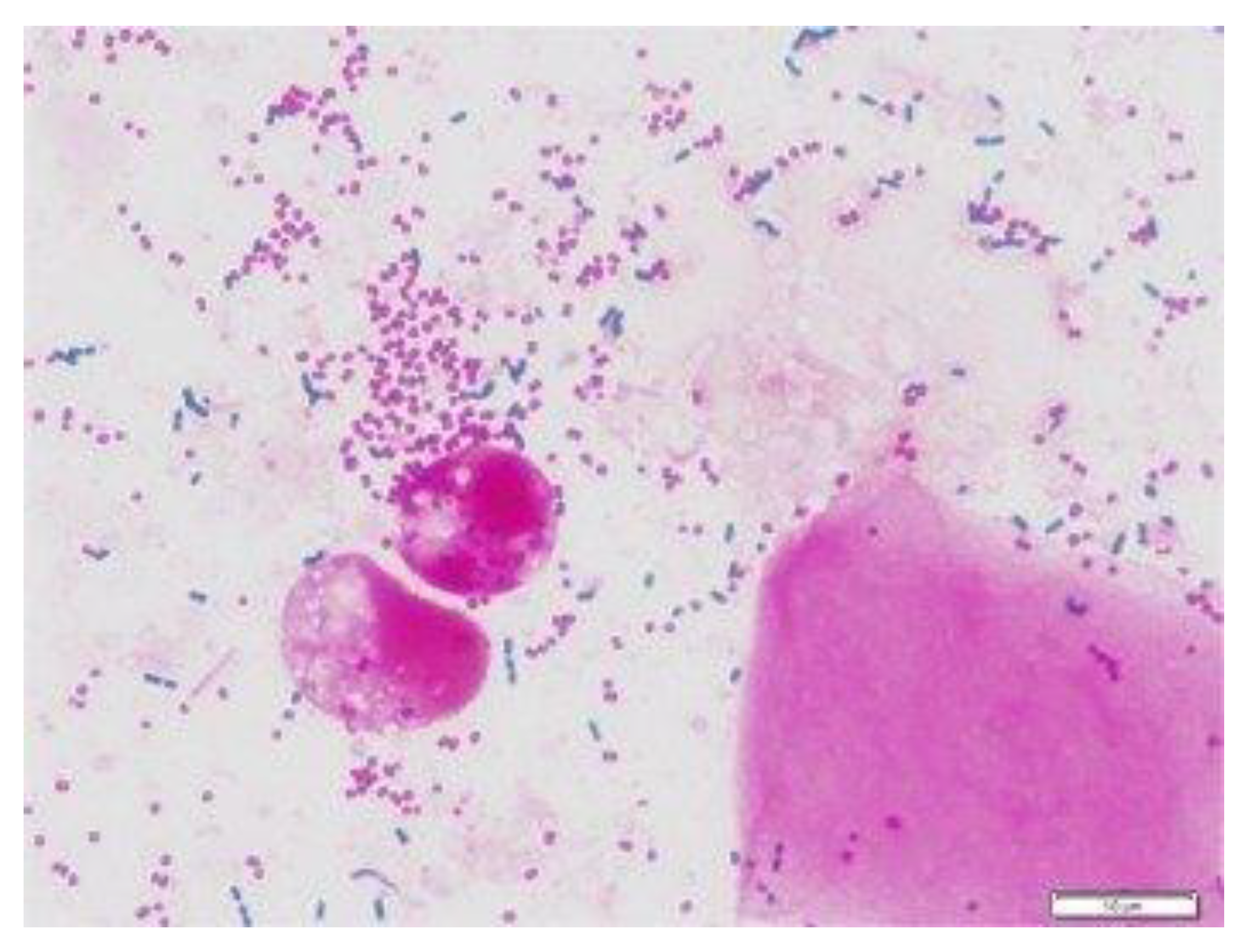 Diagnostics 13 00081 g002