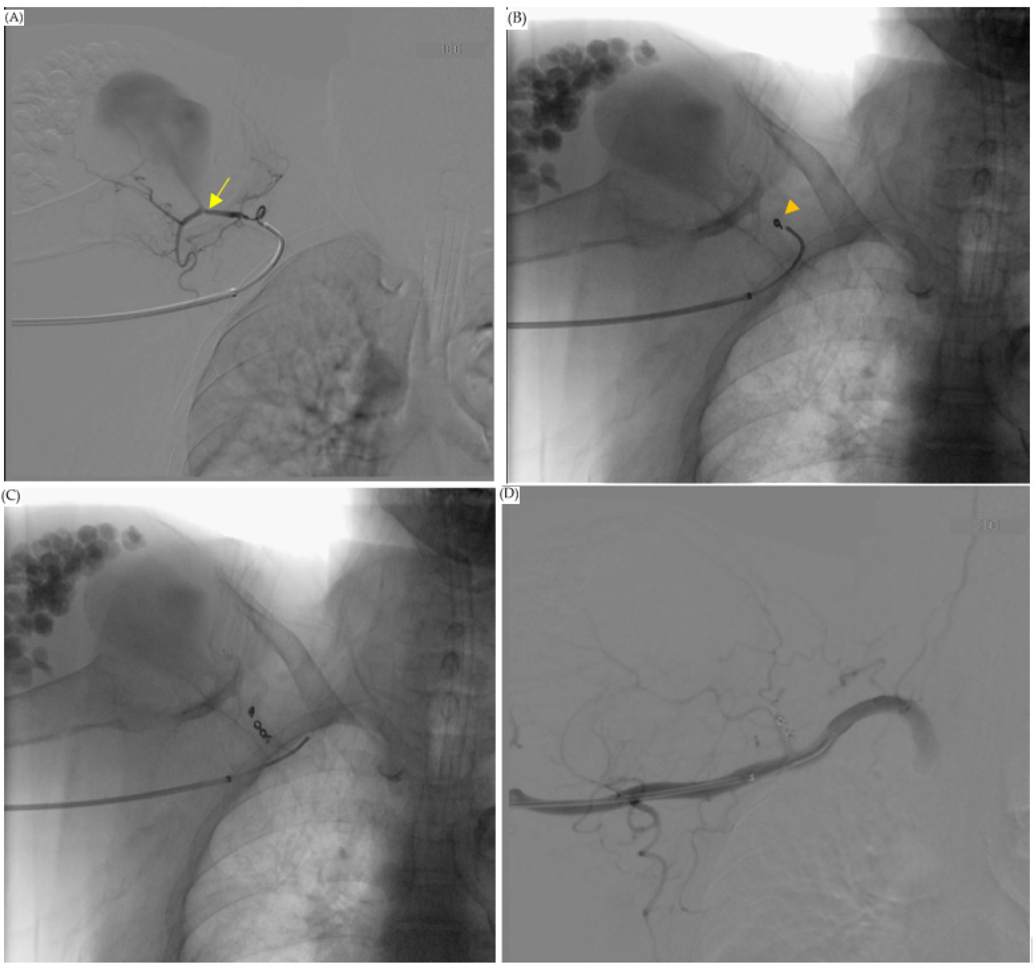 Diagnostics 13 00082 g004