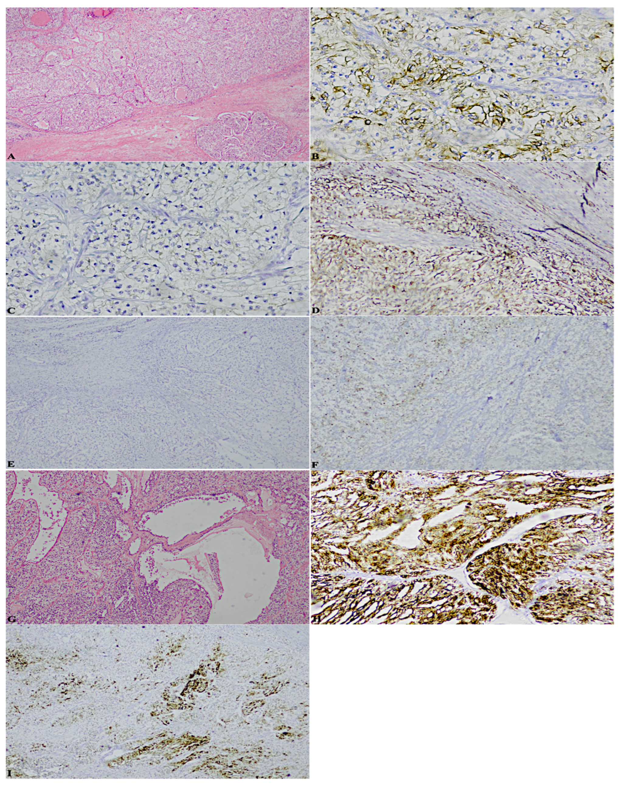 Diagnostics 13 00086 g001 Diagnostics 13 00086 g001