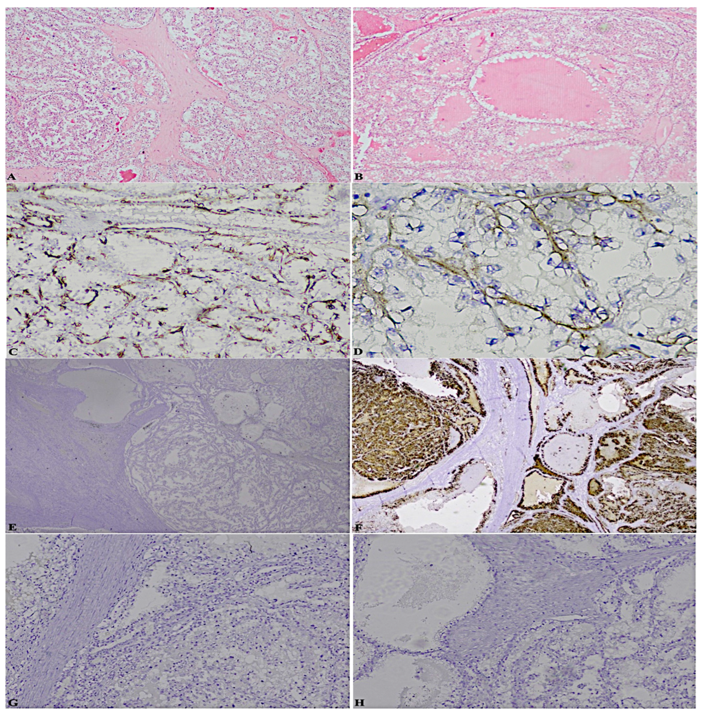 Diagnostics 13 00086 g002 Diagnostics 13 00086 g002