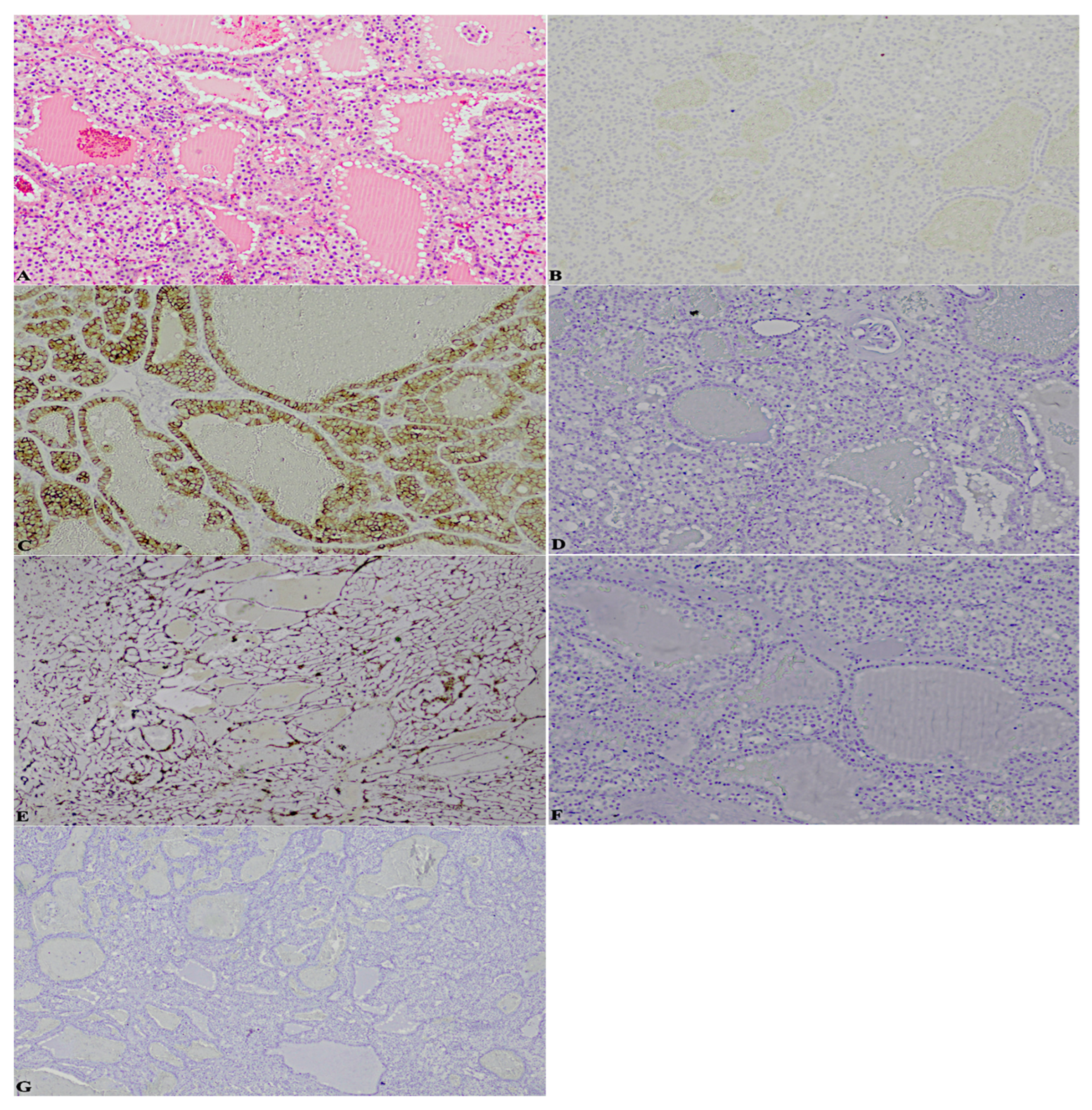 Diagnostics 13 00086 g004 Diagnostics 13 00086 g004