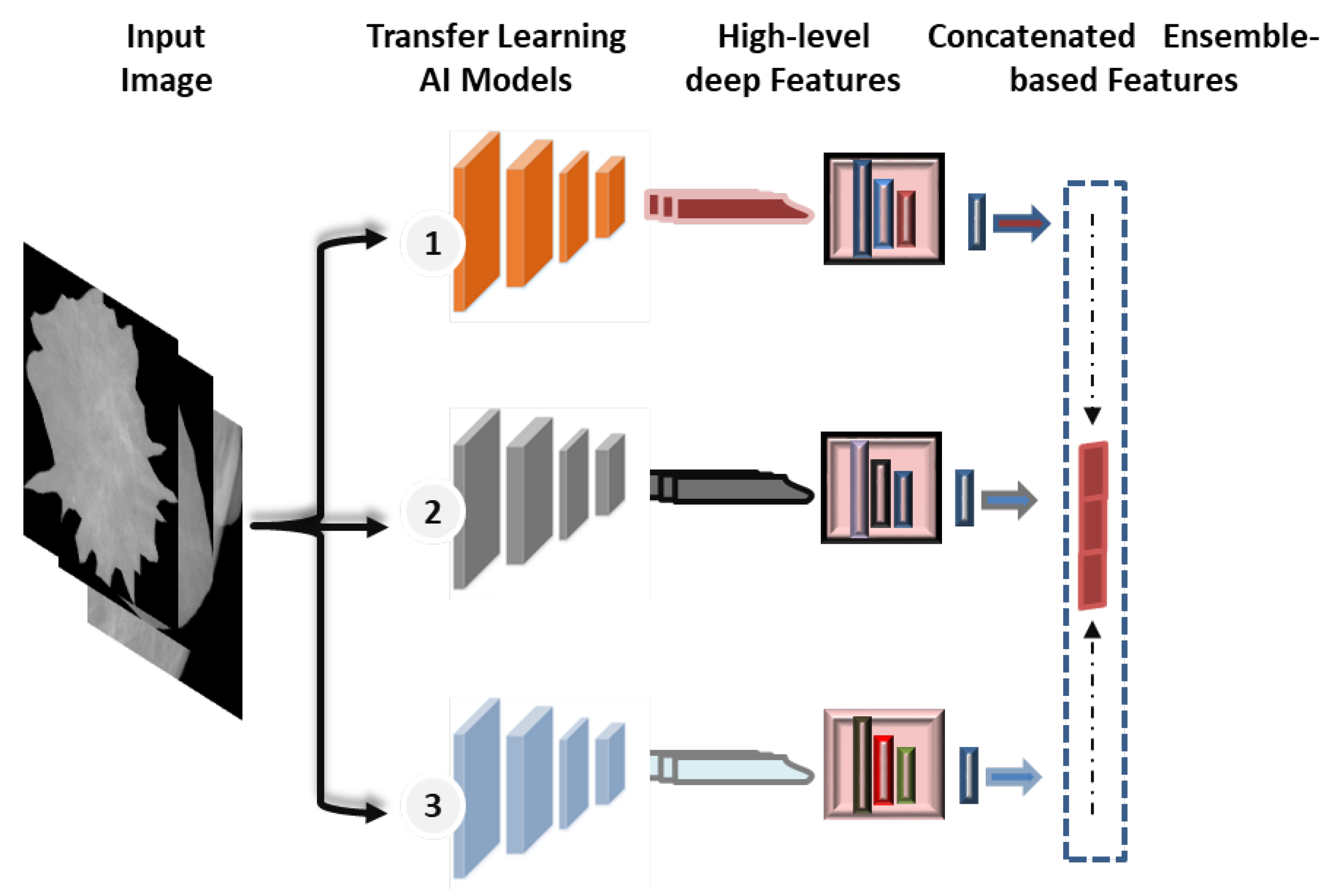 Diagnostics 13 00089 g005