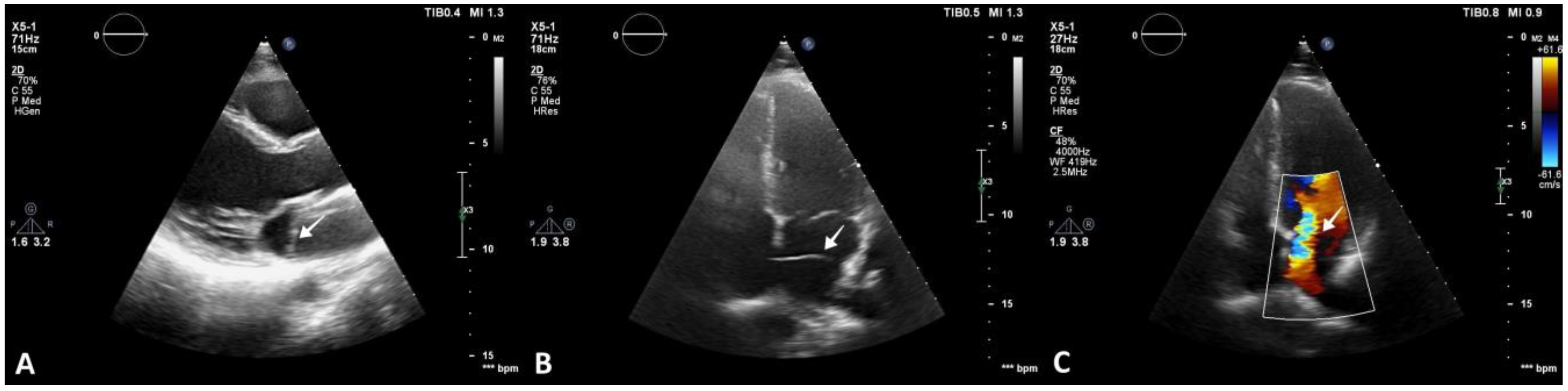 Diagnostics 13 00097 g002