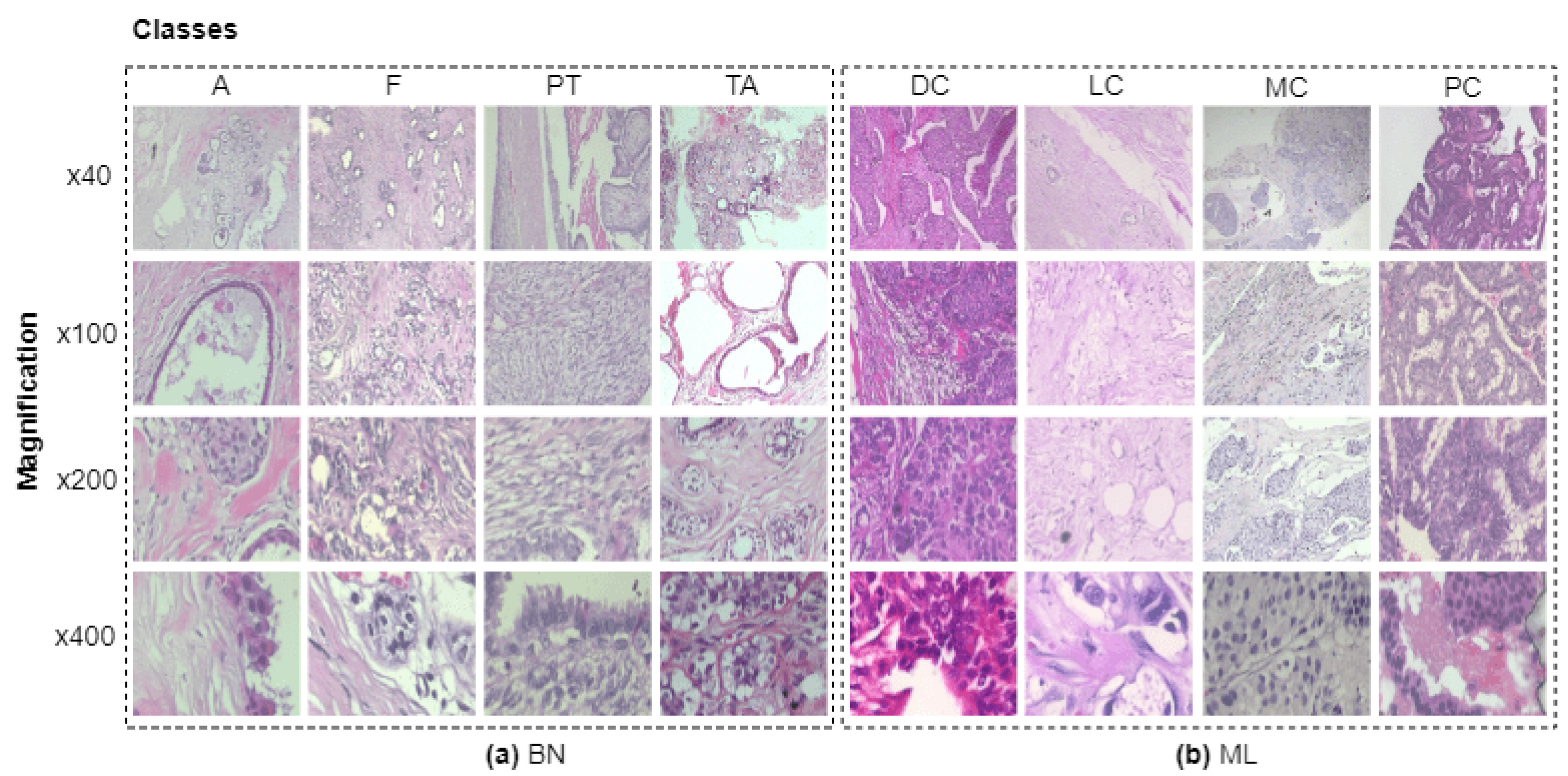 Diagnostics 13 00103 g001
