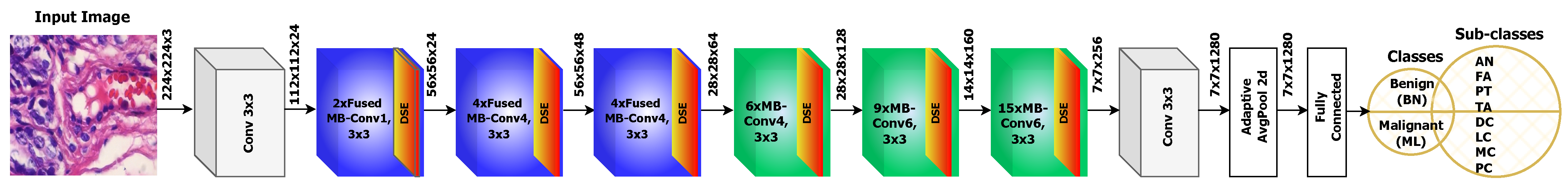 Diagnostics 13 00103 g002
