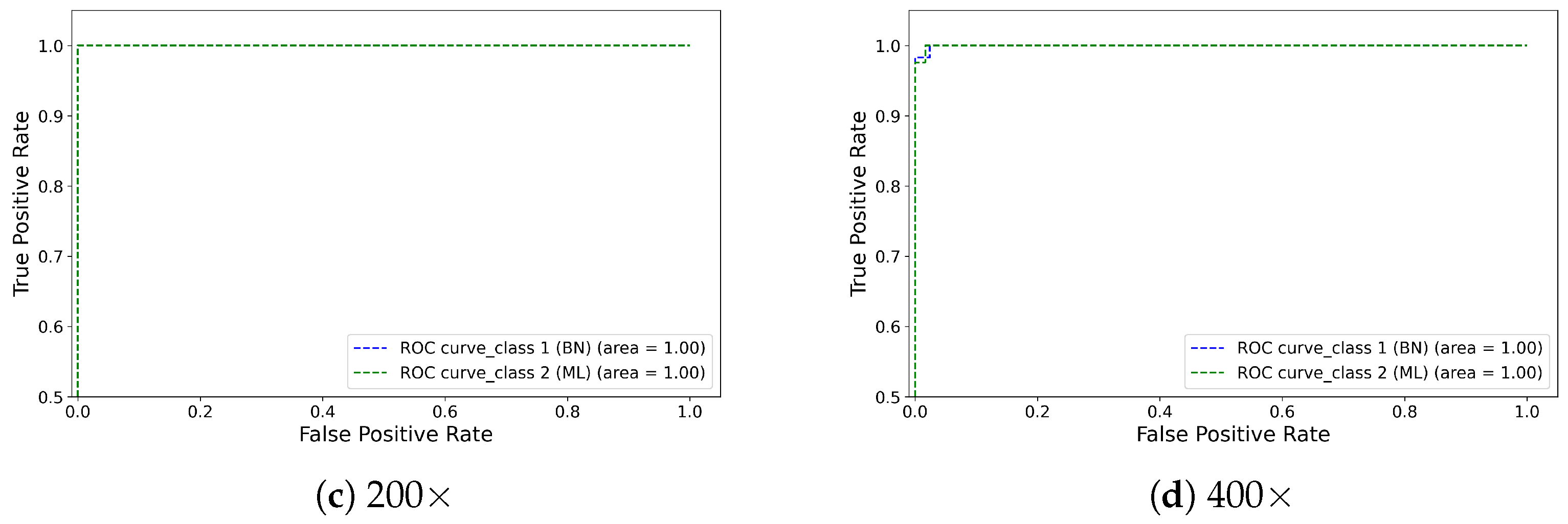 Diagnostics 13 00103 g005b