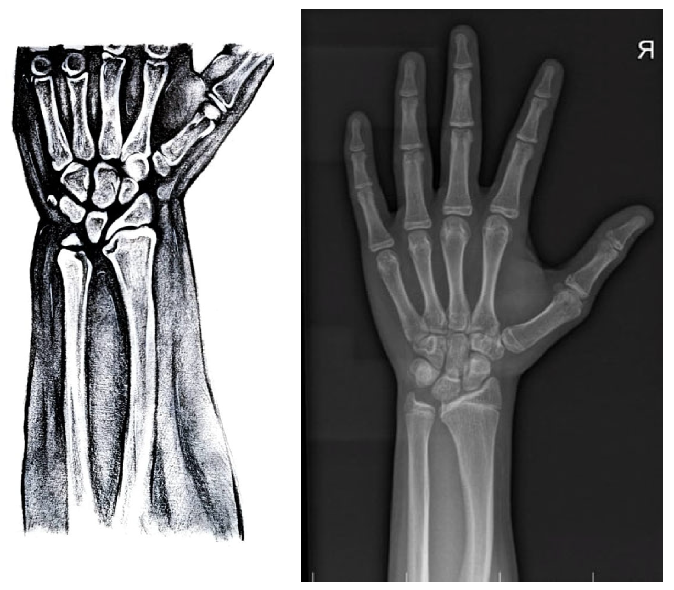 Diagnostics 13 00105 g006