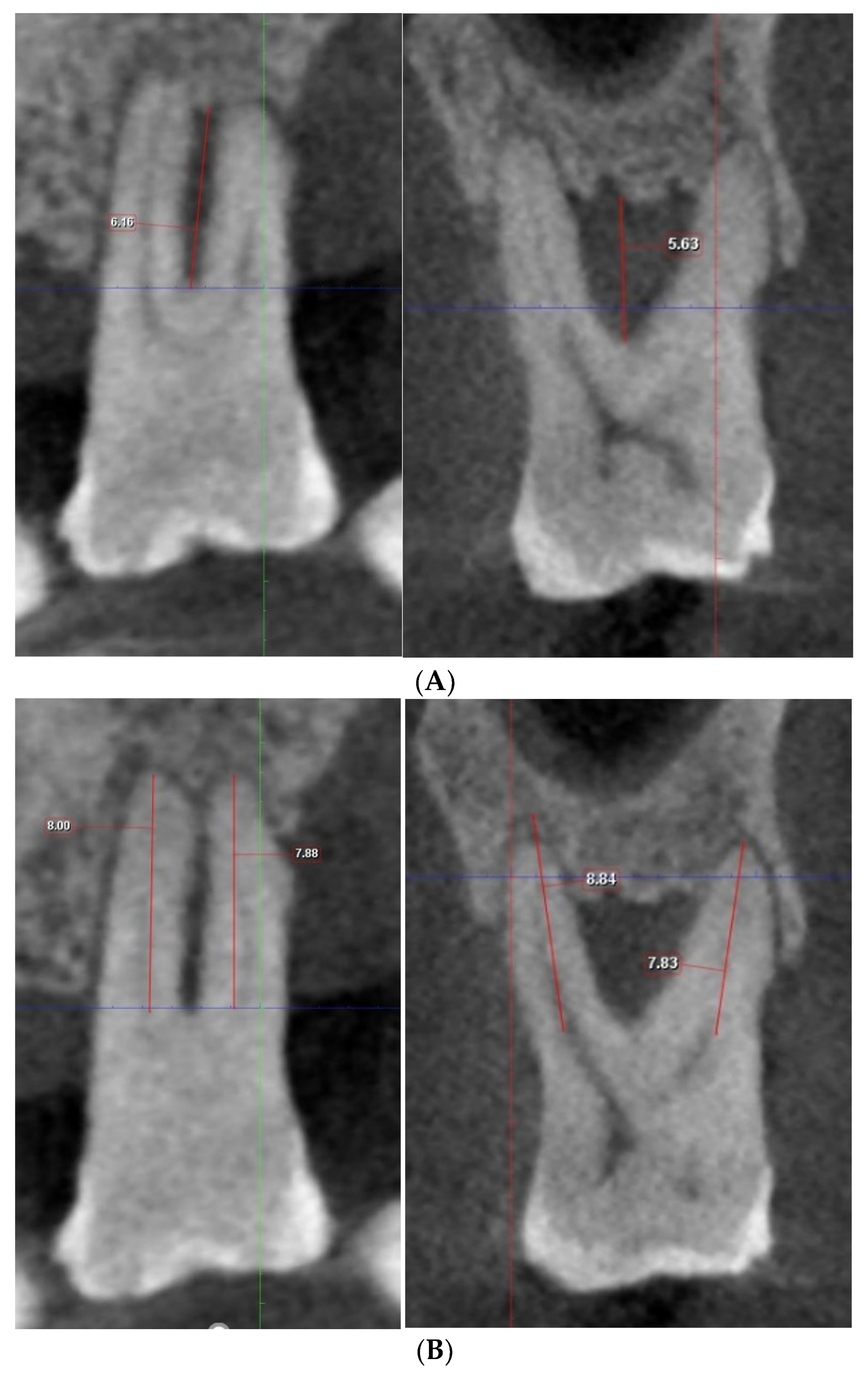 Diagnostics 13 00106 g002