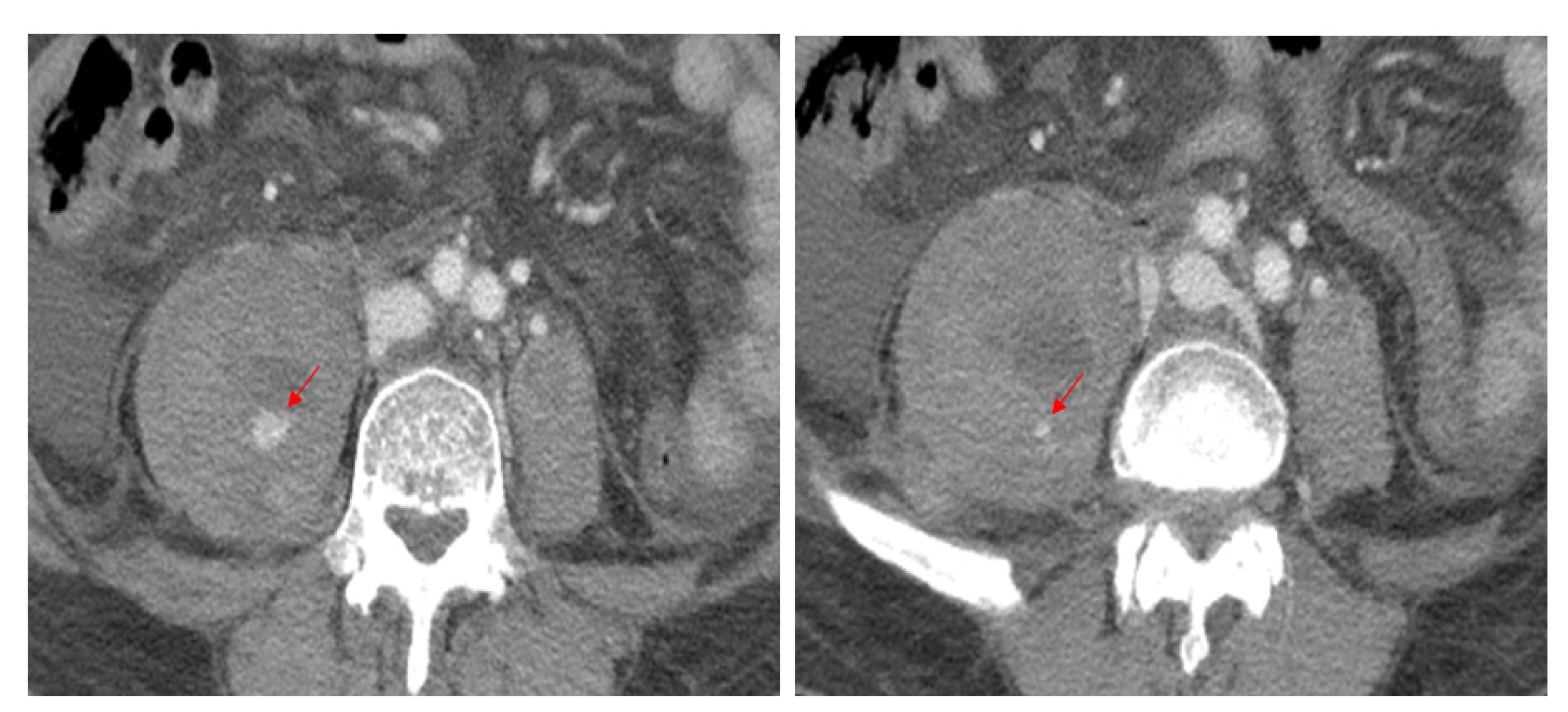 Diagnostics 13 00115 g001