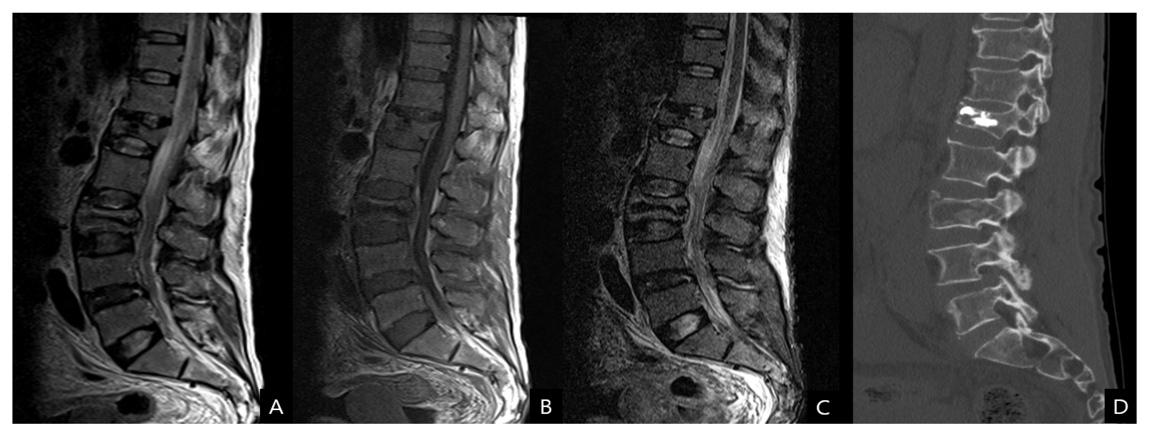 Diagnostics 13 00115 g002