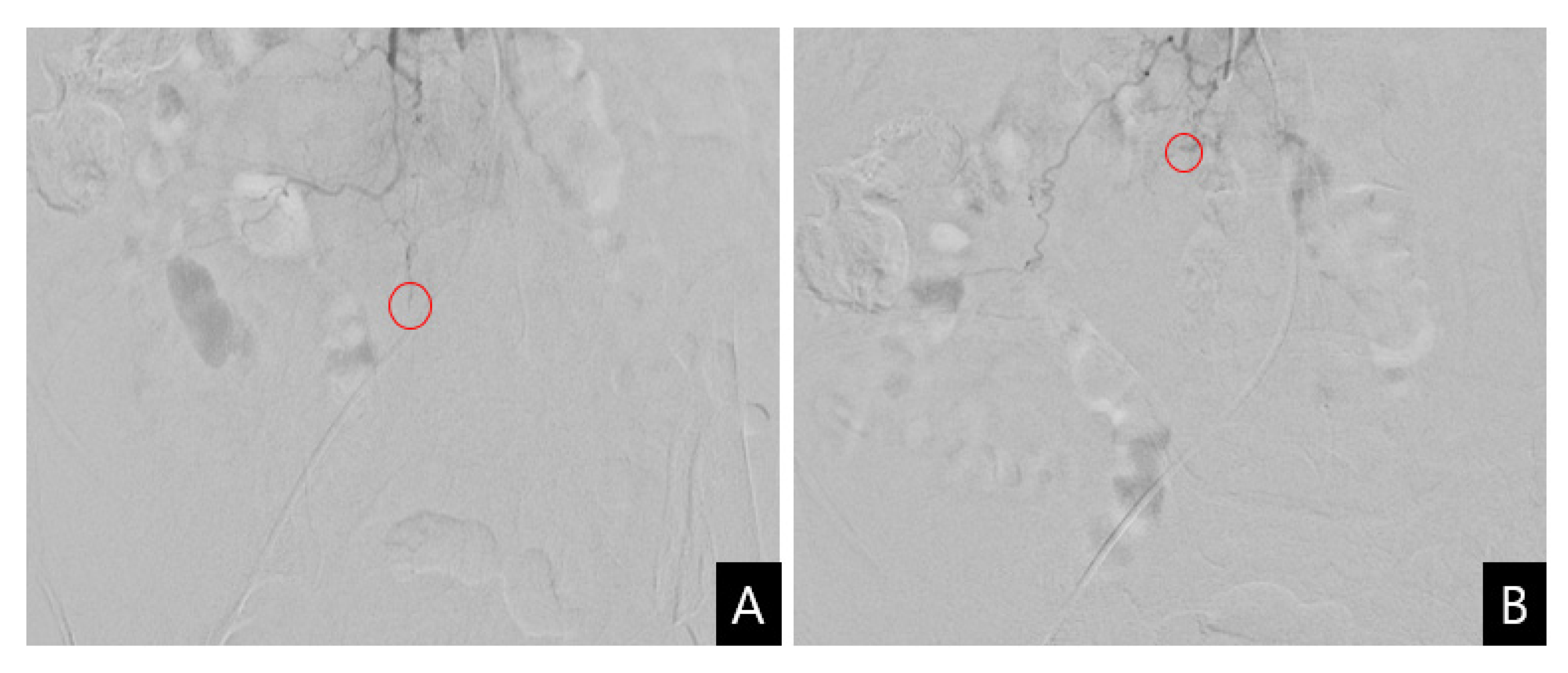 Diagnostics 13 00115 g003