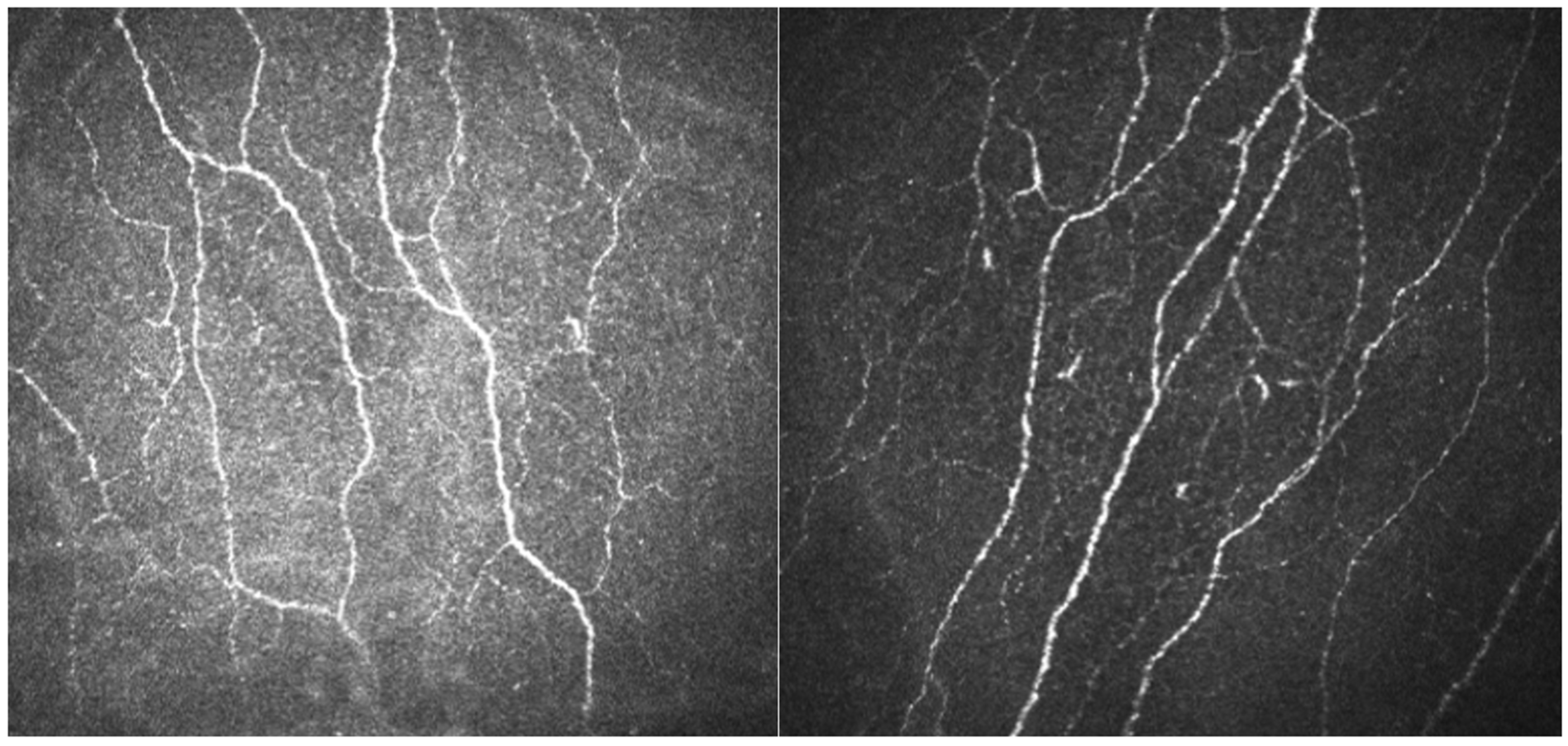 Diagnostics 13 00122 g004