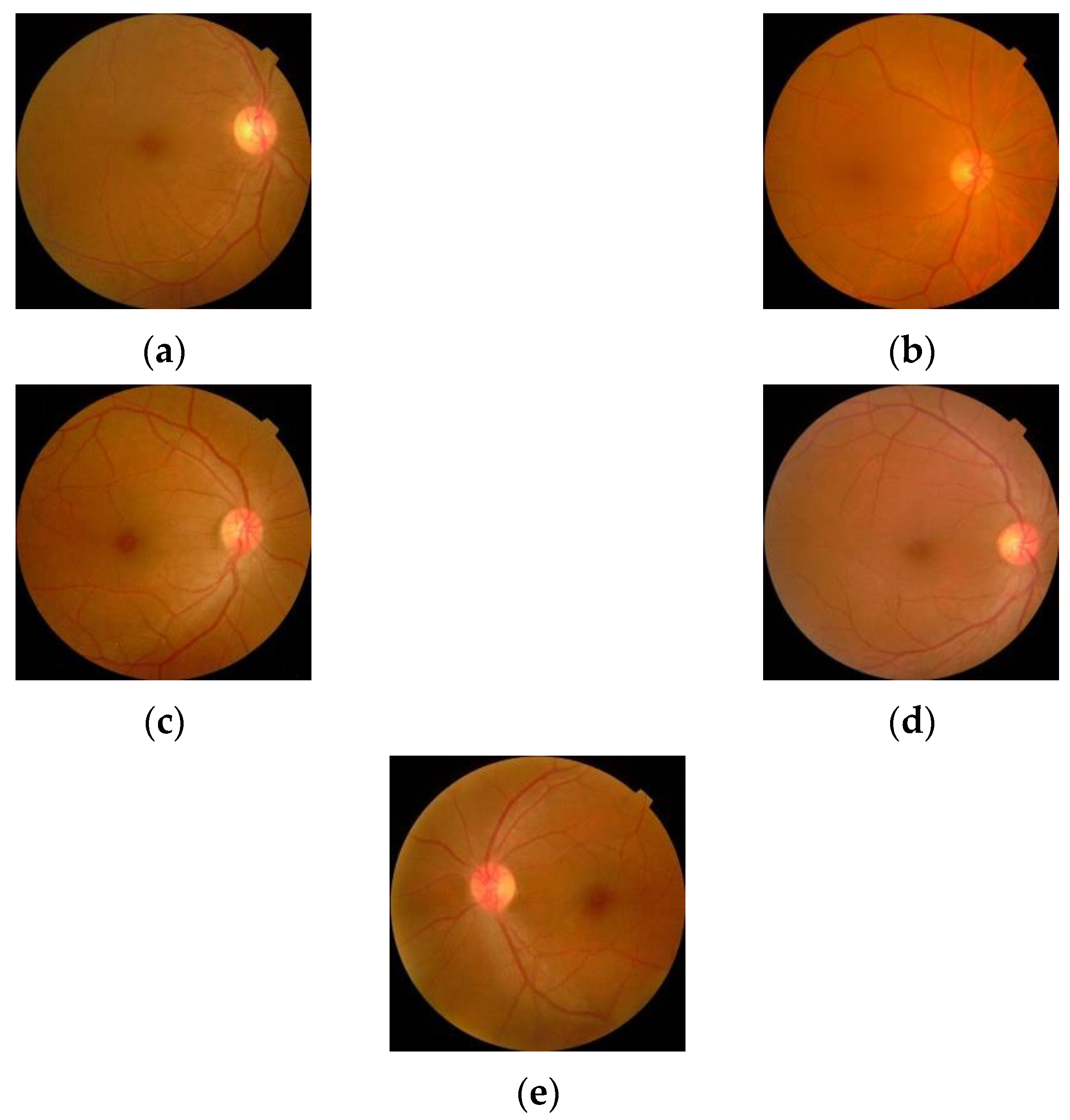 Diagnostics 13 00124 g010
