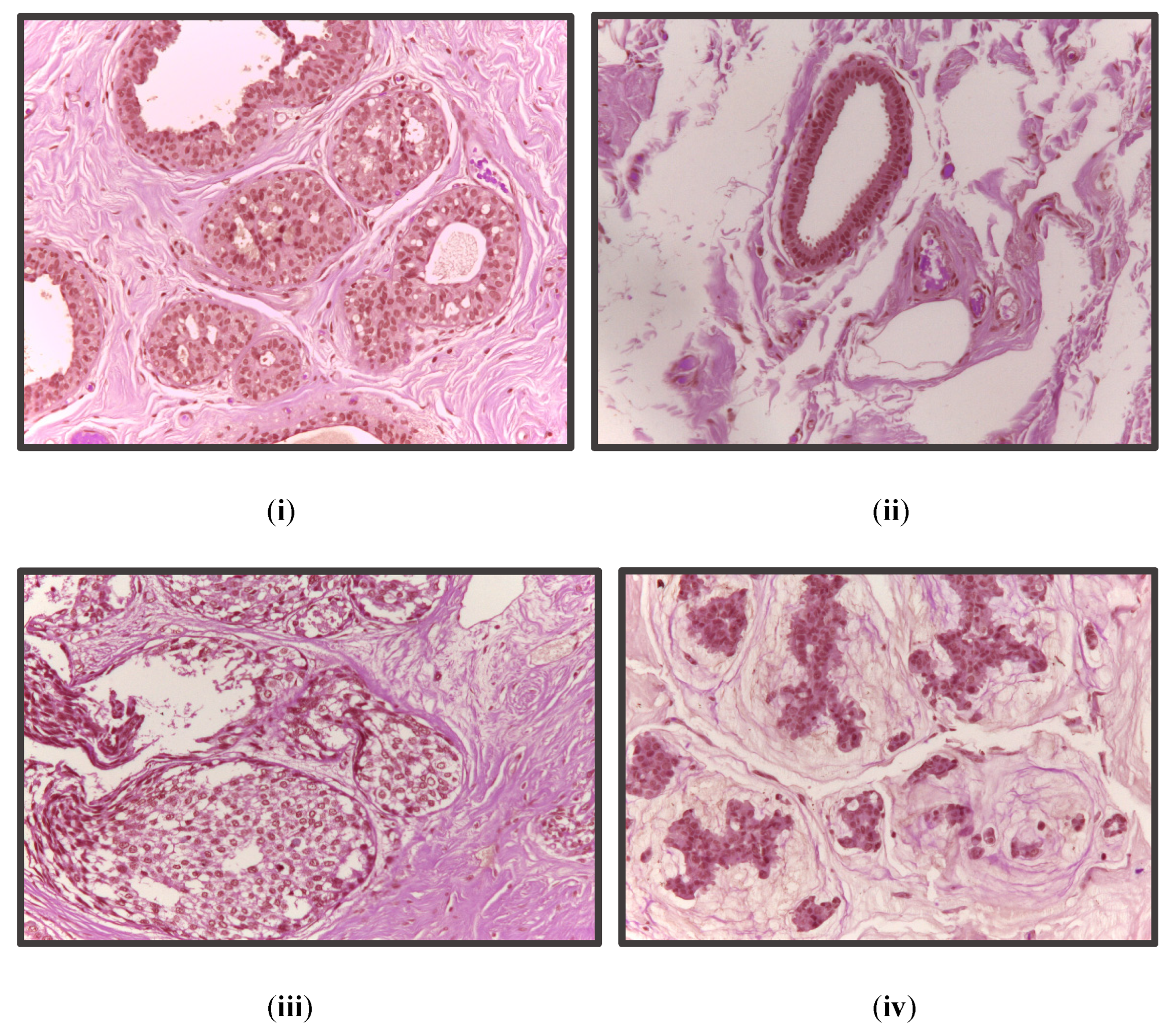 Diagnostics 13 00126 g002 Diagnostics 13 00126 g002
