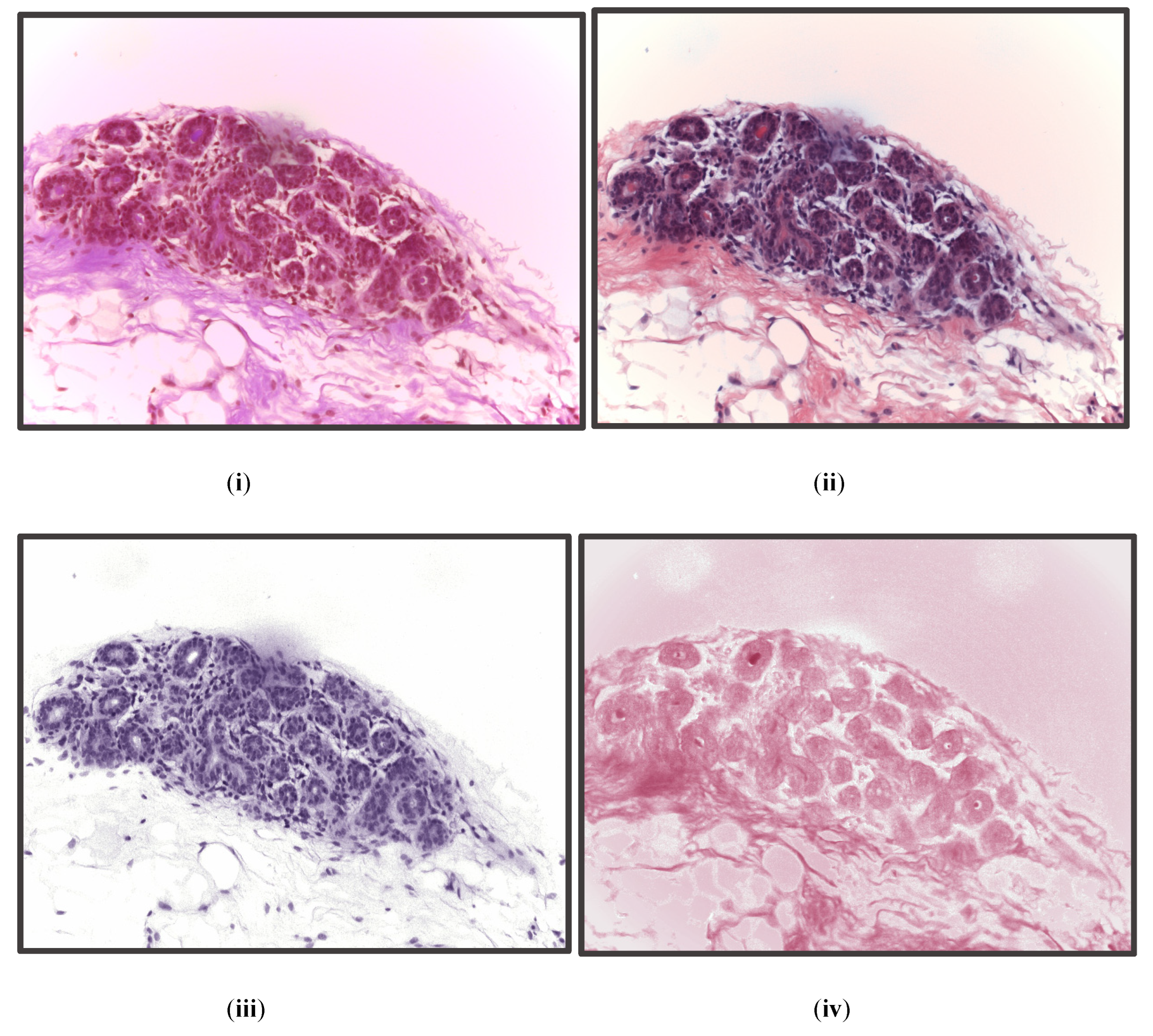 Diagnostics 13 00126 g004 Diagnostics 13 00126 g004