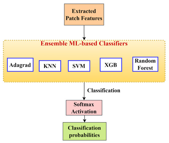 Diagnostics 13 00126 g006
