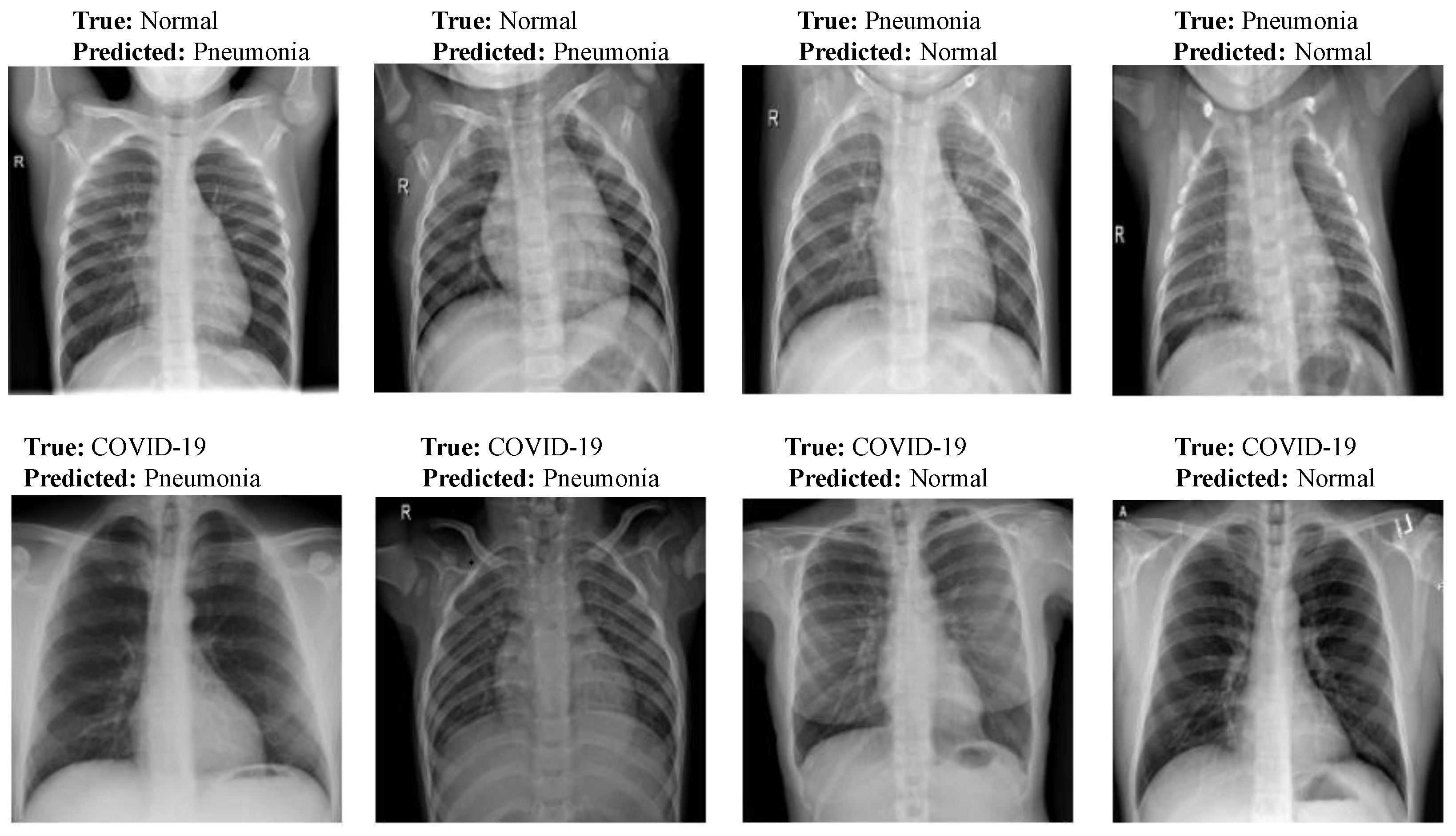 Diagnostics 13 00131 g013